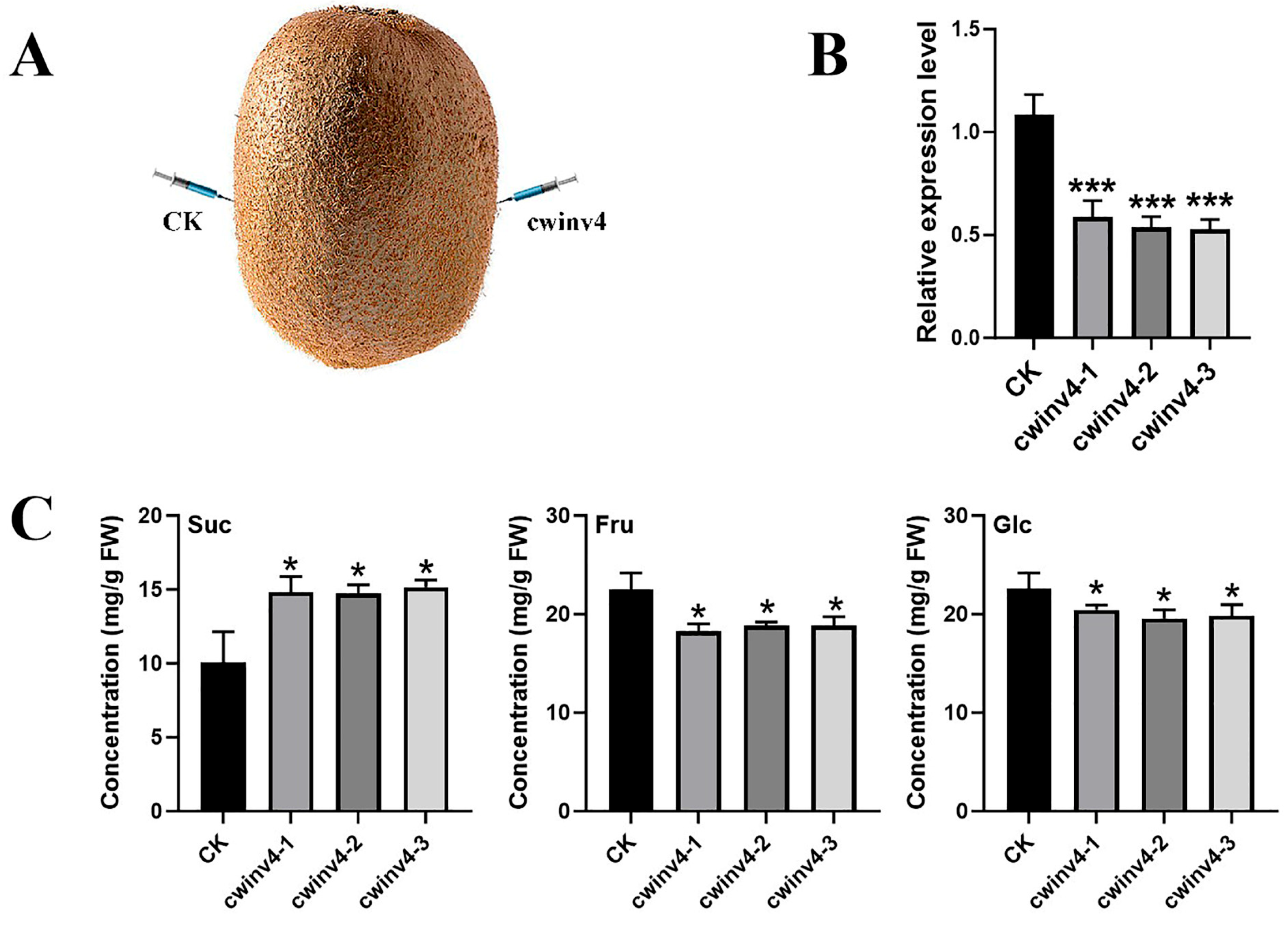Ijms 26 10089 g005 Ijms 26 10089 g005