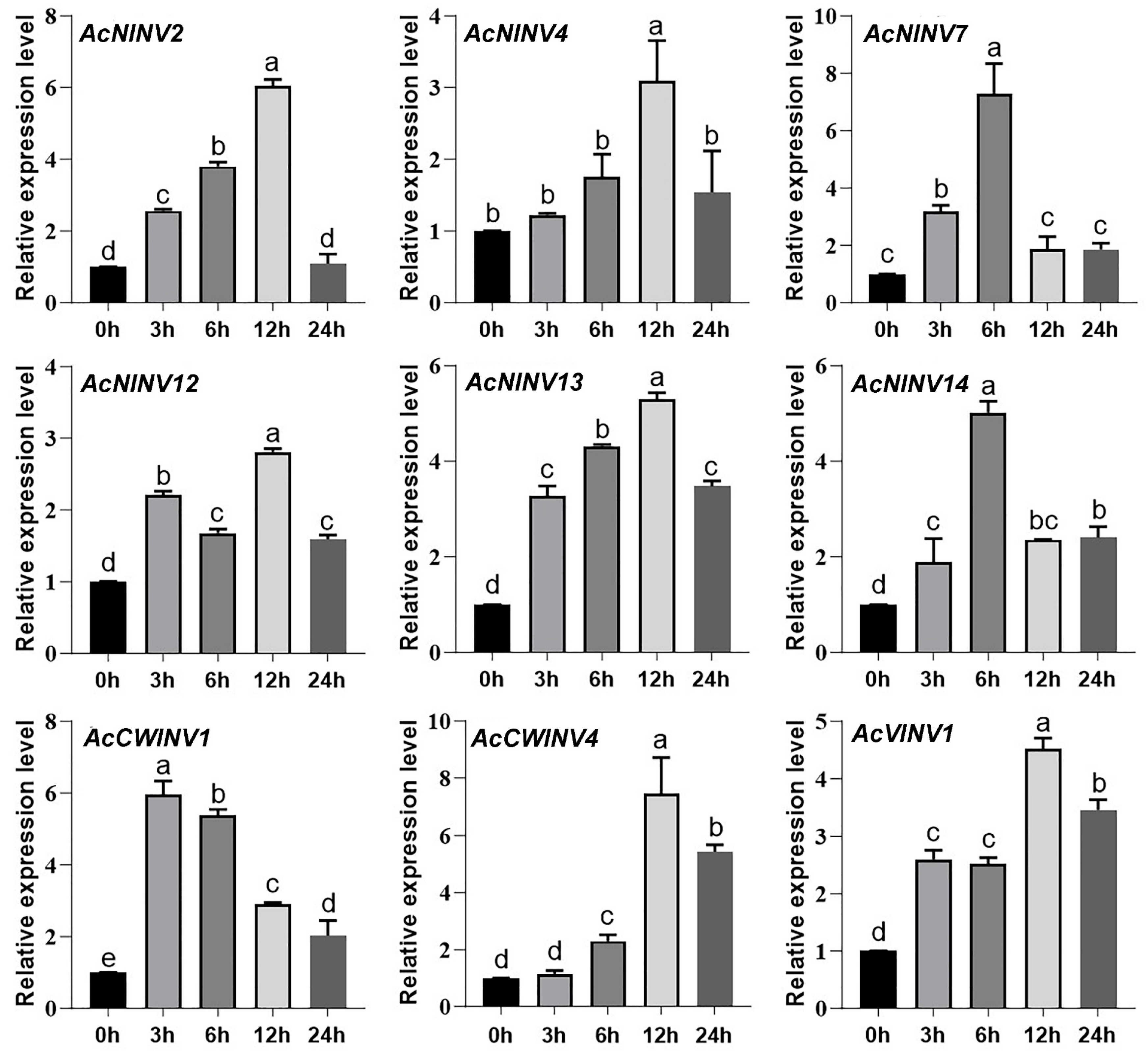 Ijms 26 10089 g006 Ijms 26 10089 g006