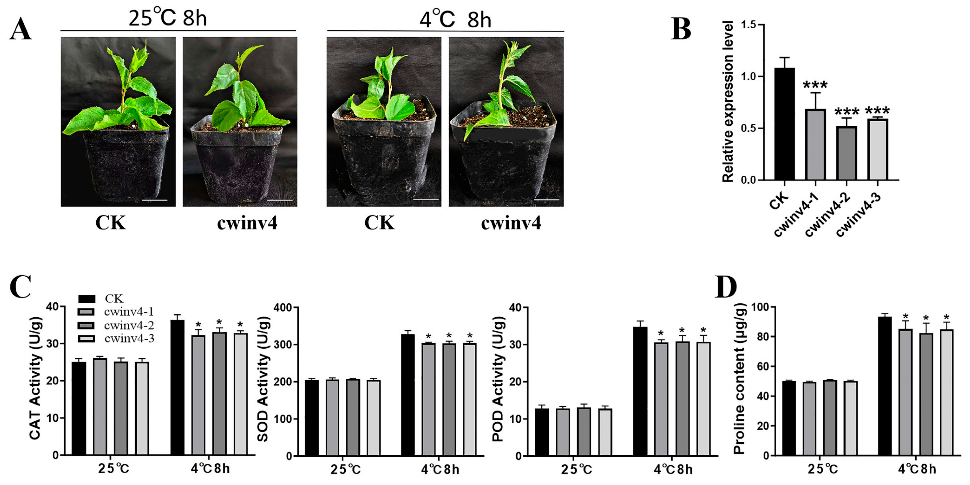 Ijms 26 10089 g007 Ijms 26 10089 g007