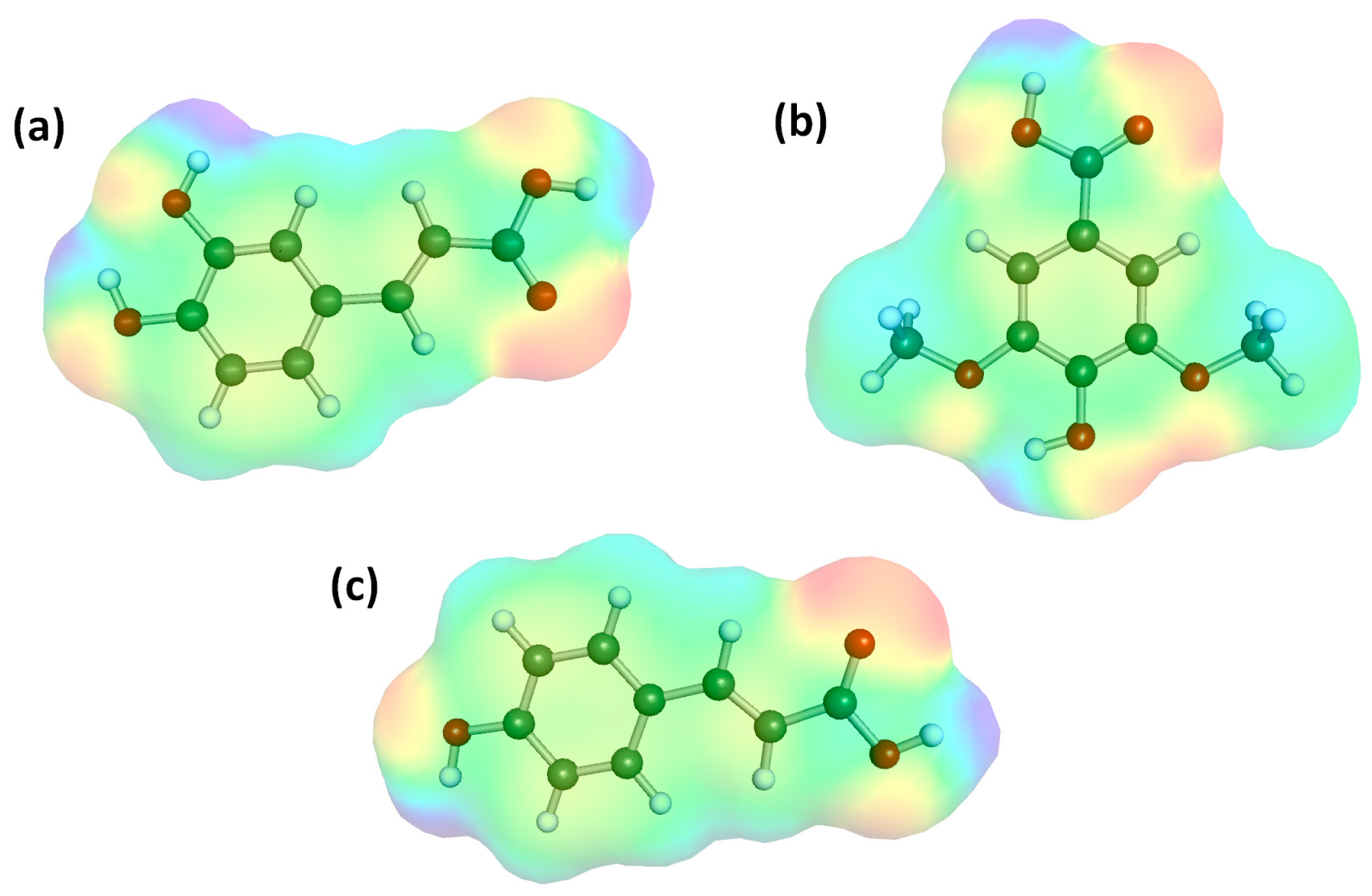 Ijms 26 10099 g001 Ijms 26 10099 g001