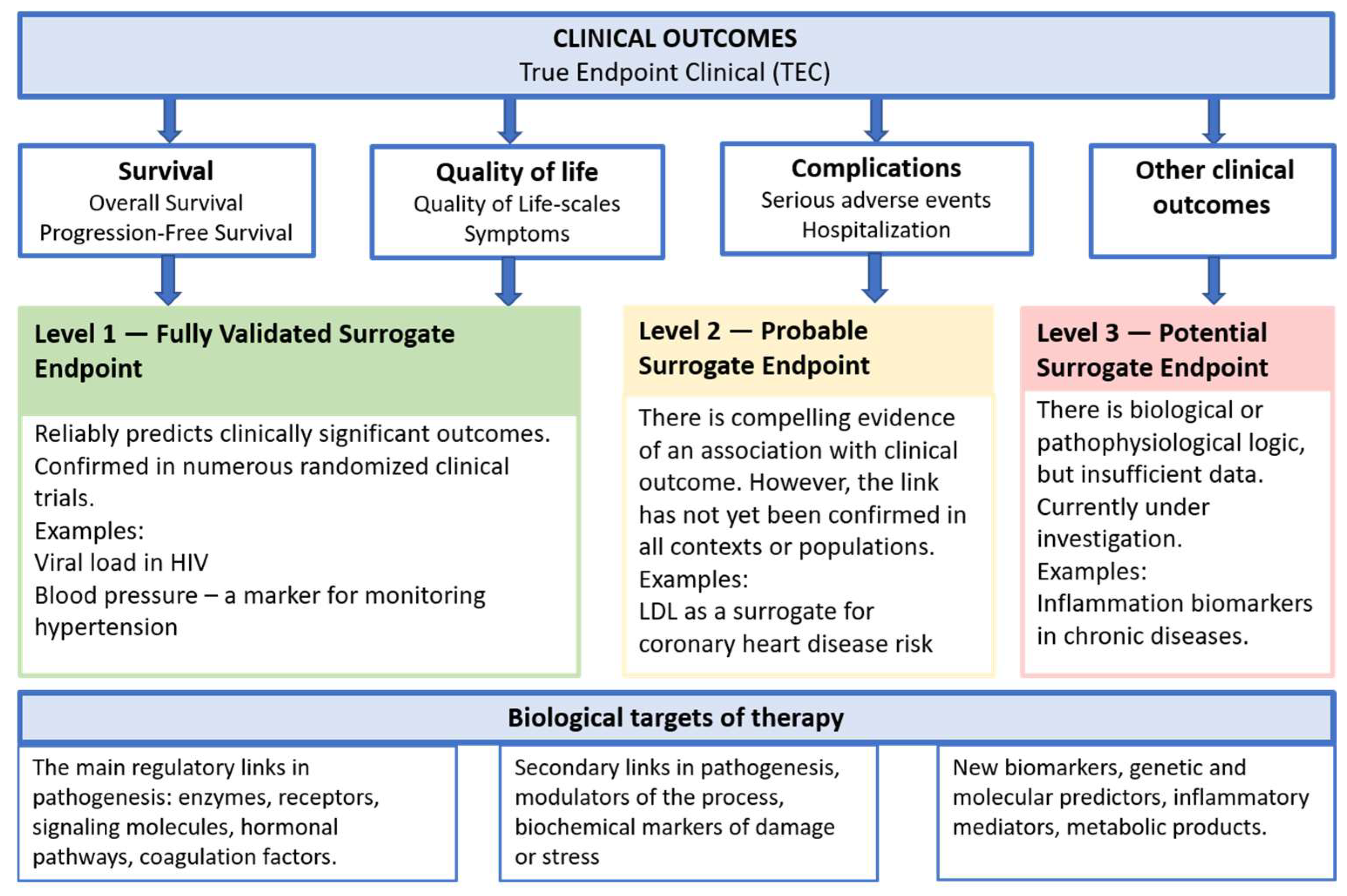 Ijms 26 10107 g001 Ijms 26 10107 g001