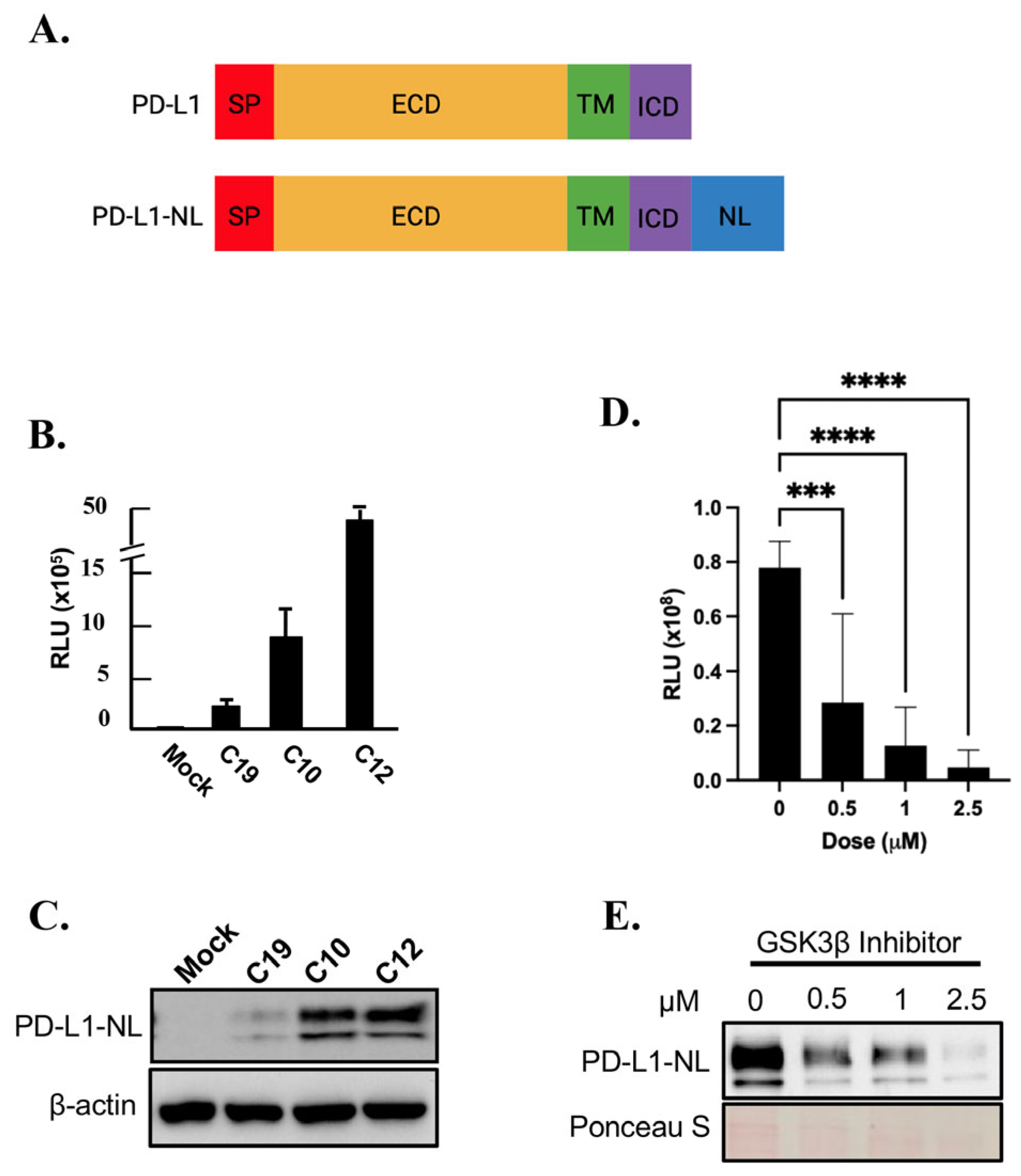 Ijms 26 10108 g001 Ijms 26 10108 g001