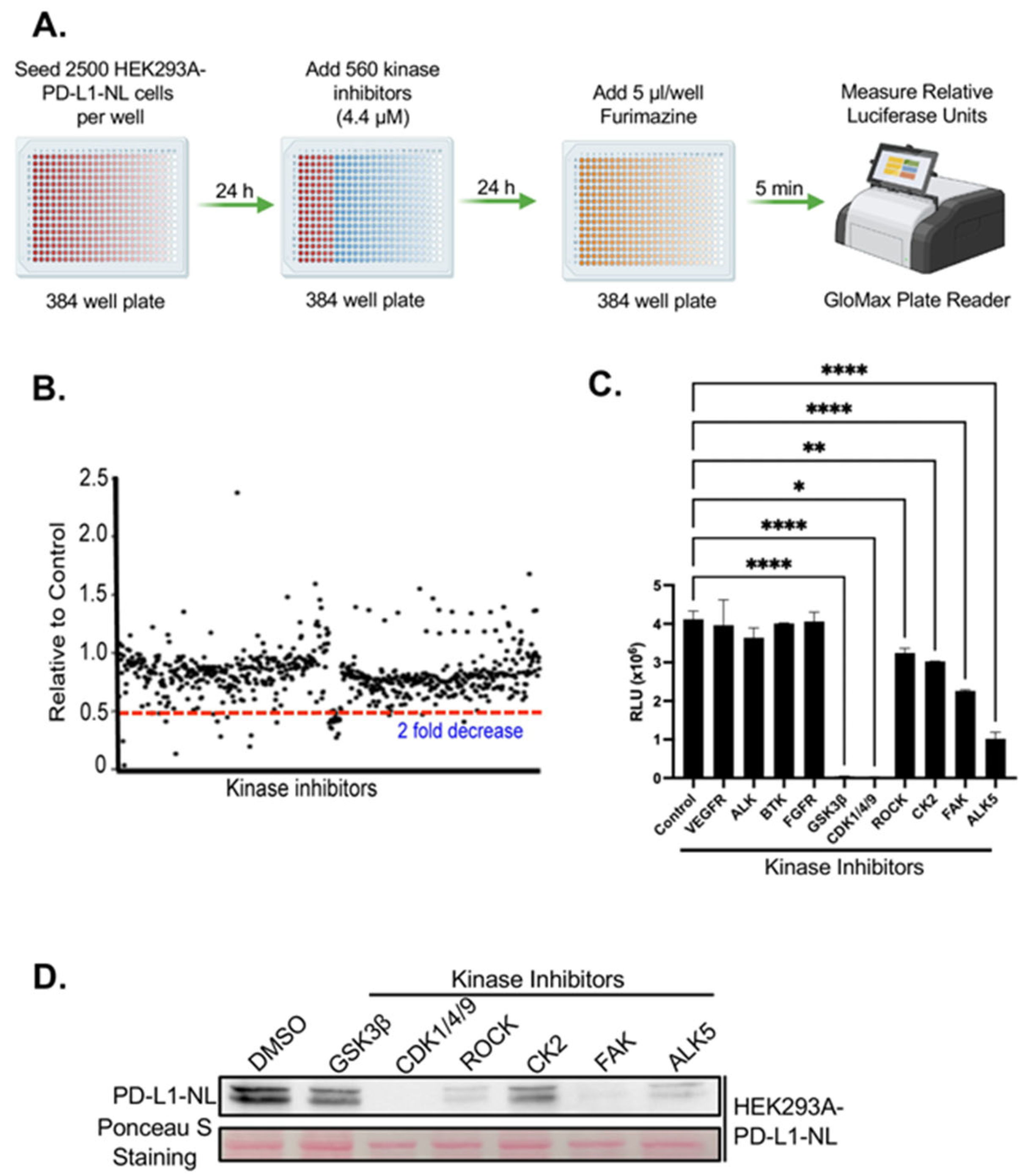 Ijms 26 10108 g002 Ijms 26 10108 g002