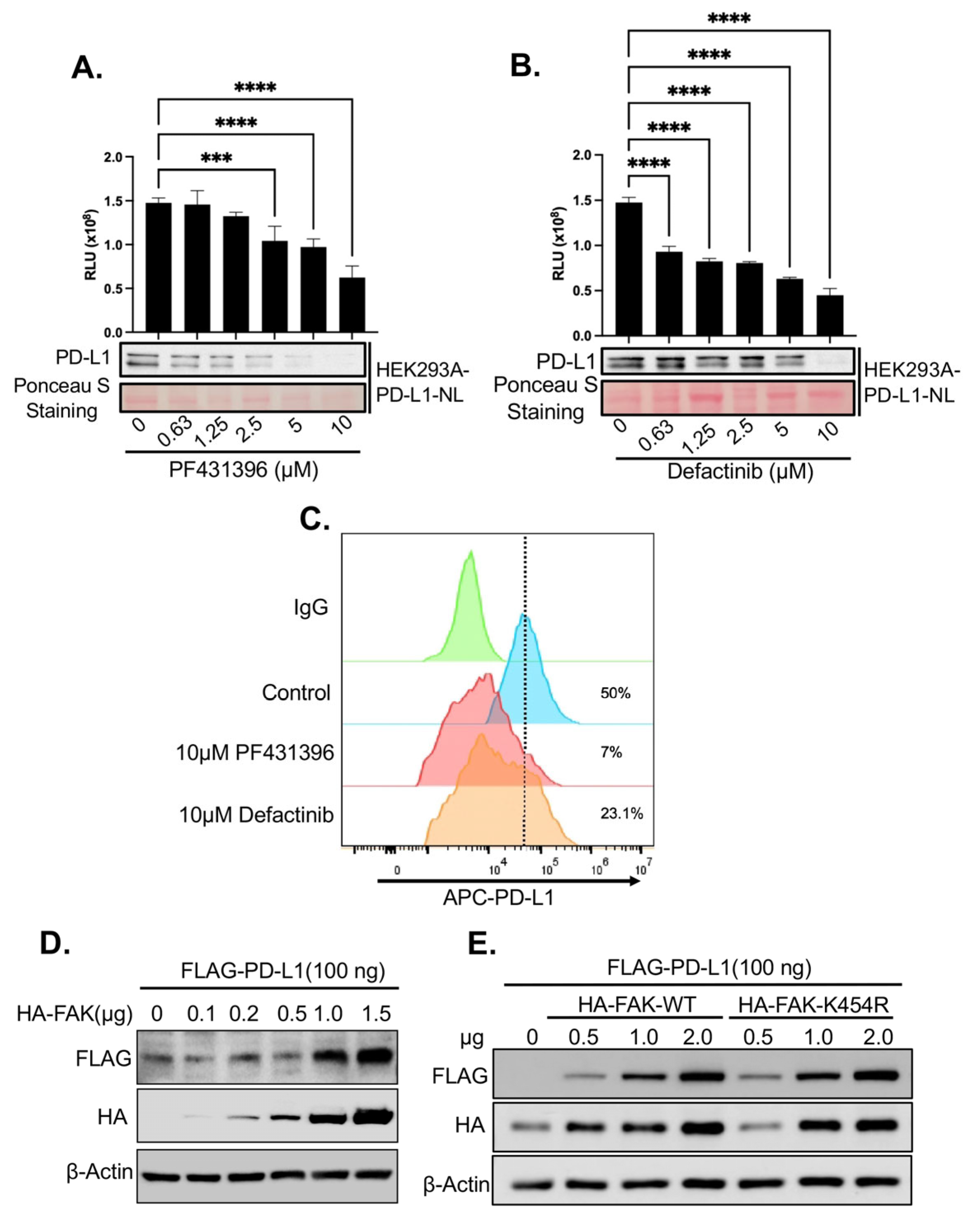 Ijms 26 10108 g003 Ijms 26 10108 g003