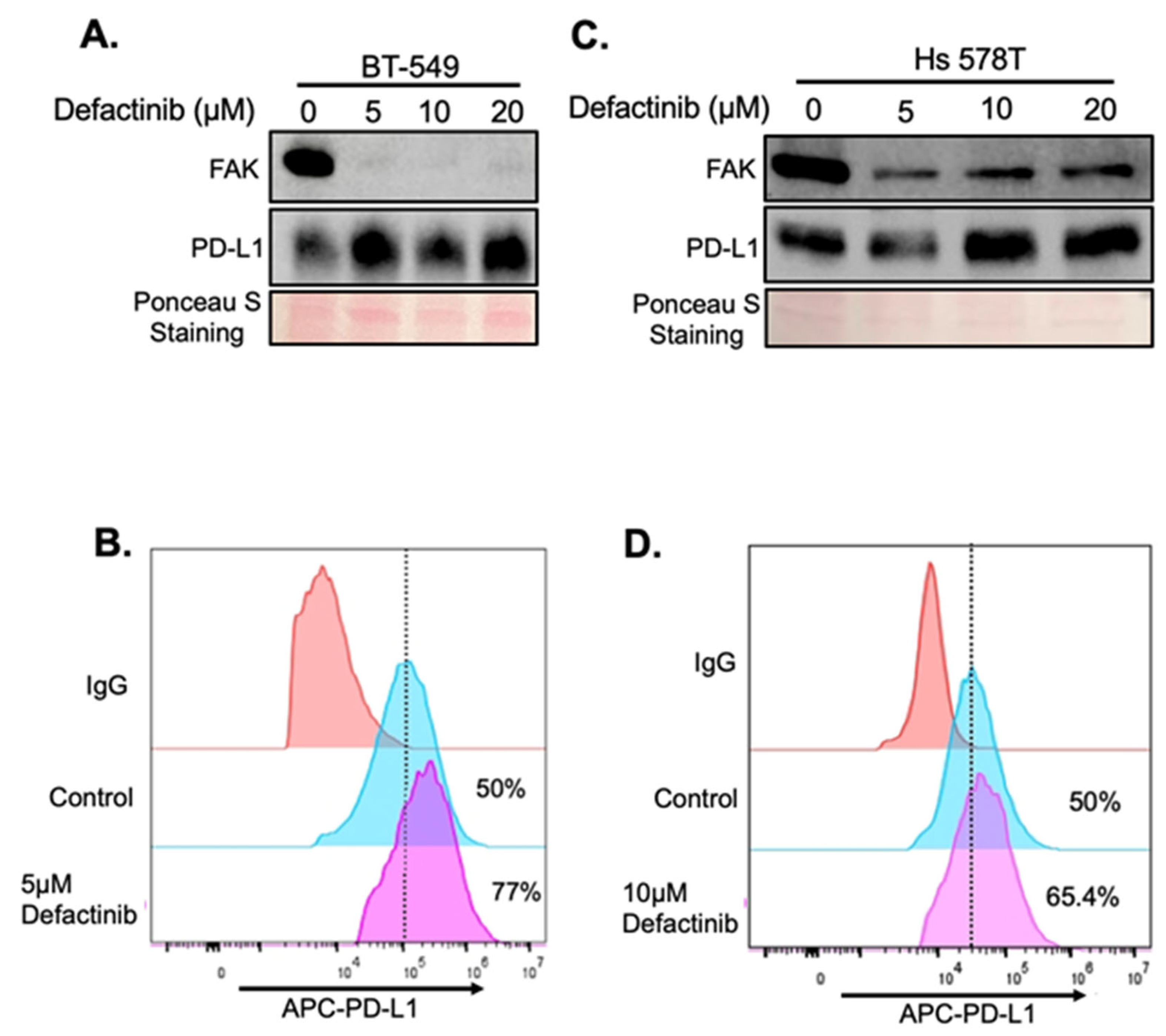 Ijms 26 10108 g004 Ijms 26 10108 g004