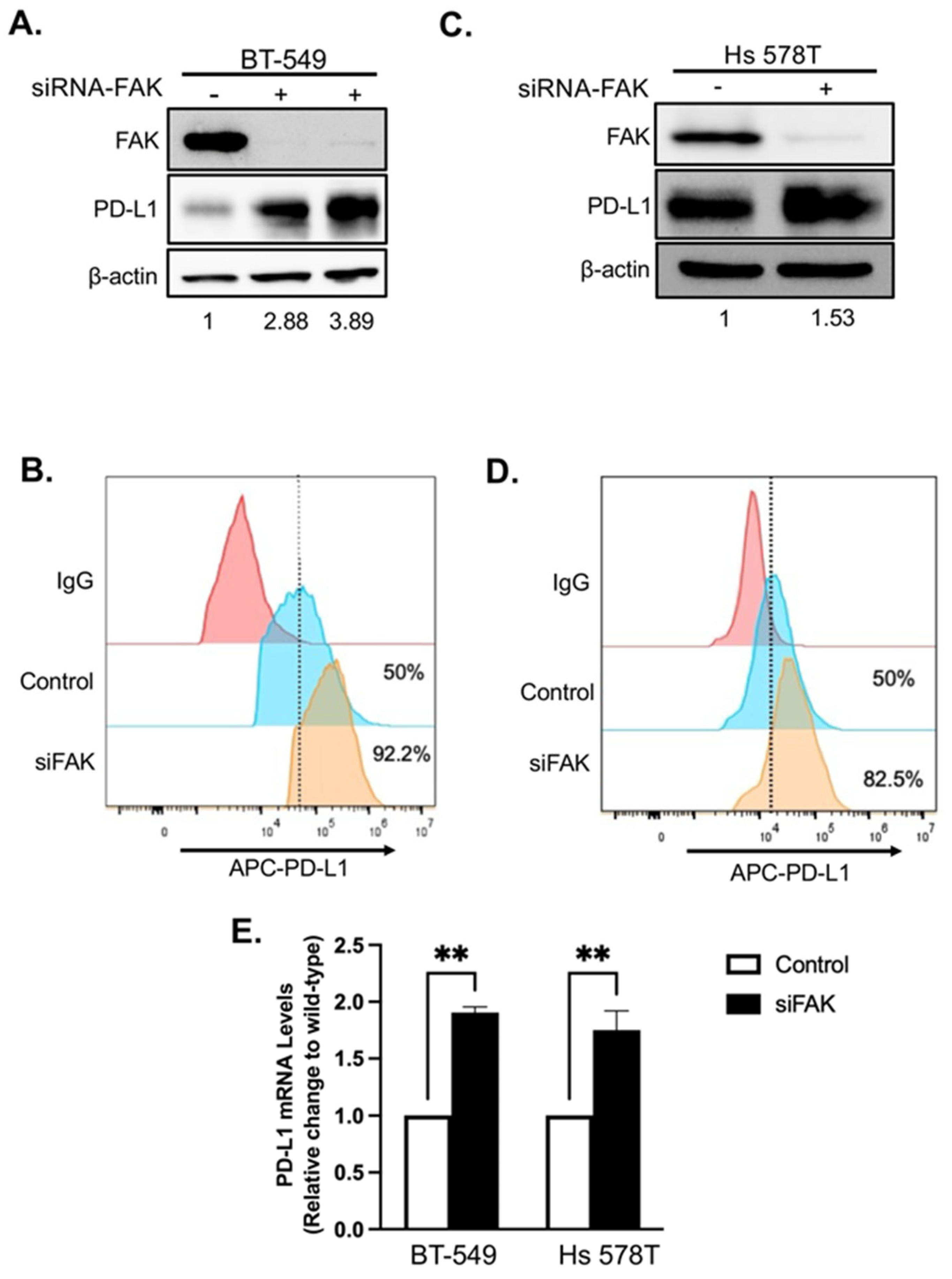 Ijms 26 10108 g005 Ijms 26 10108 g005