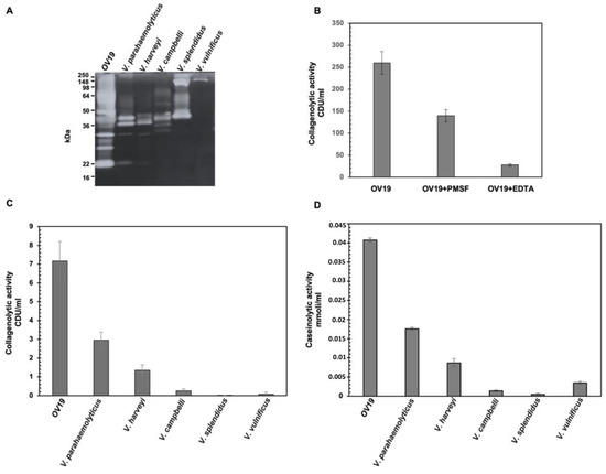 High Proteolytic and Collagenolytic Activity in an Environmental Vibrio ...