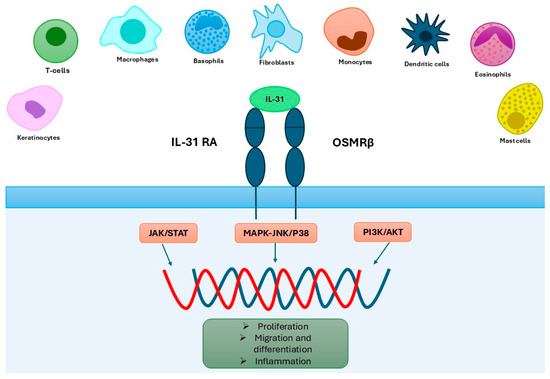 shi様 スリクソン zx ユーティリティガタ アイアン ニジュウサンド
