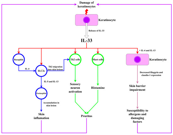 IL-31/33 Axis in Atopic Dermatitis