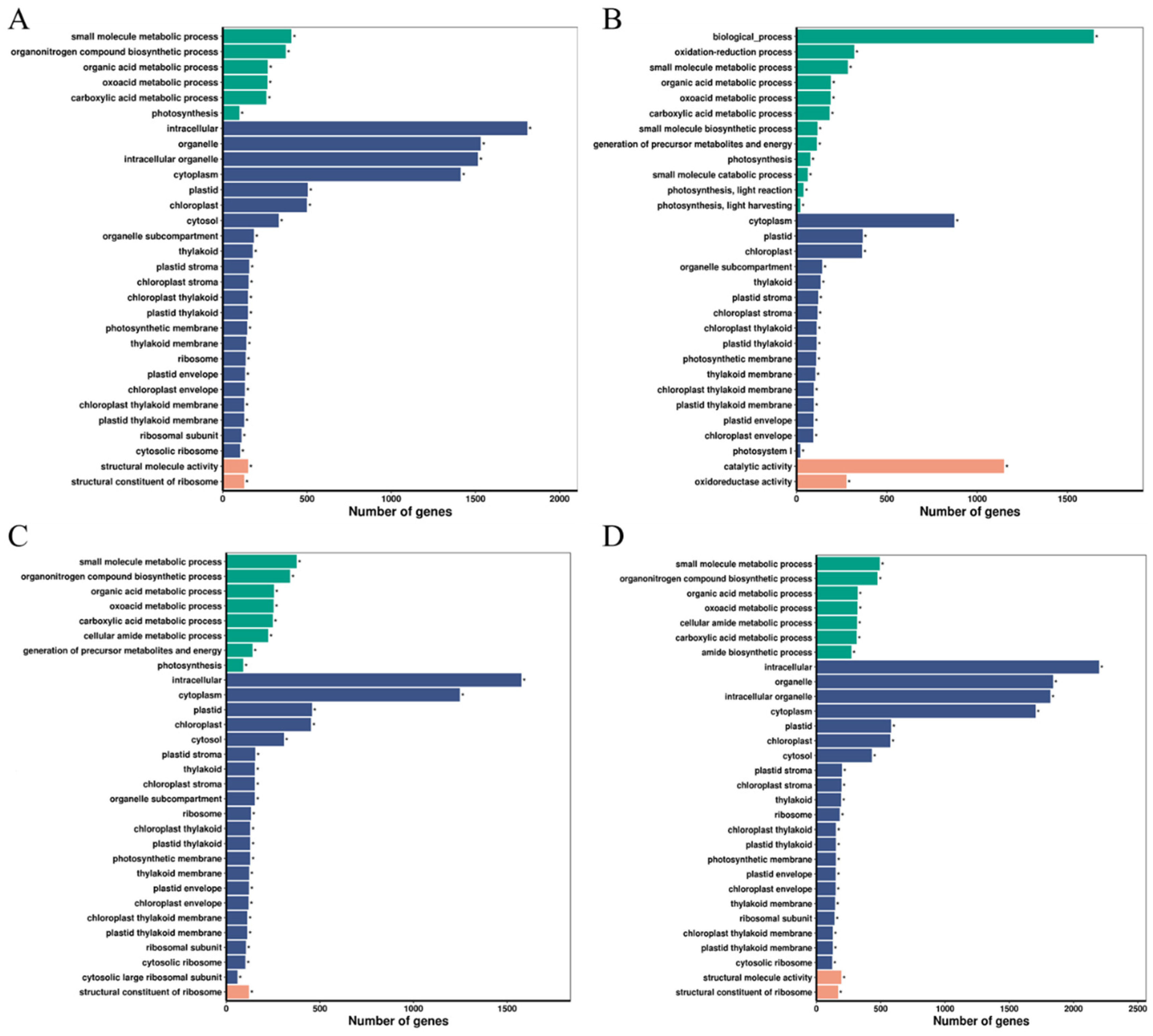 Ijms 26 10164 g003 Ijms 26 10164 g003