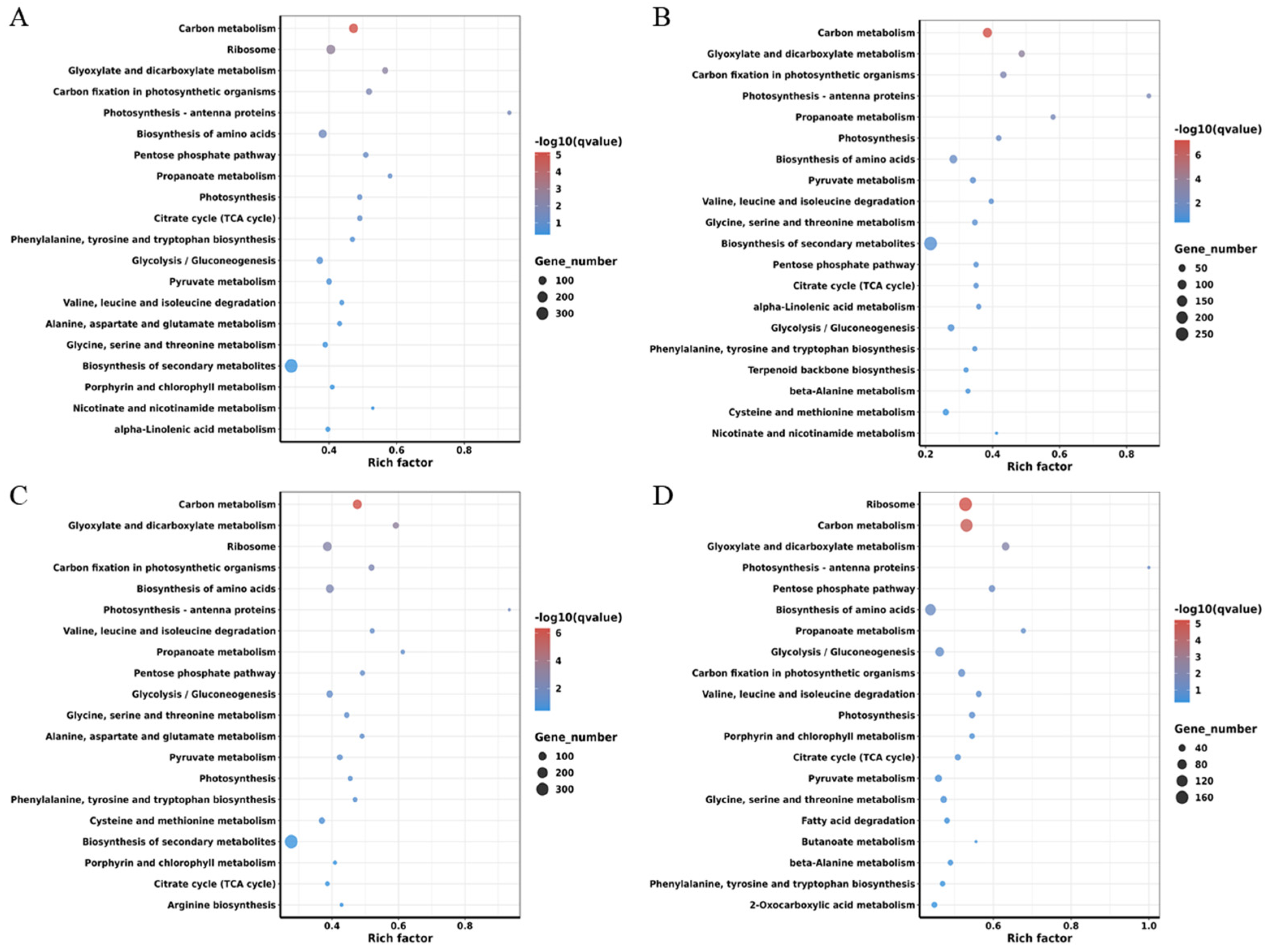 Ijms 26 10164 g004 Ijms 26 10164 g004