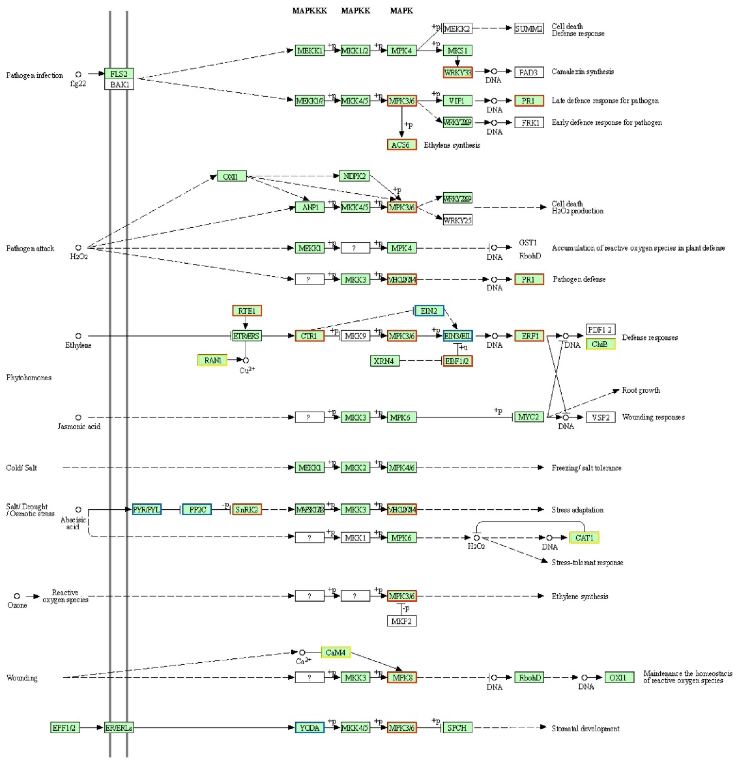 Ijms 26 10164 g005 Ijms 26 10164 g005