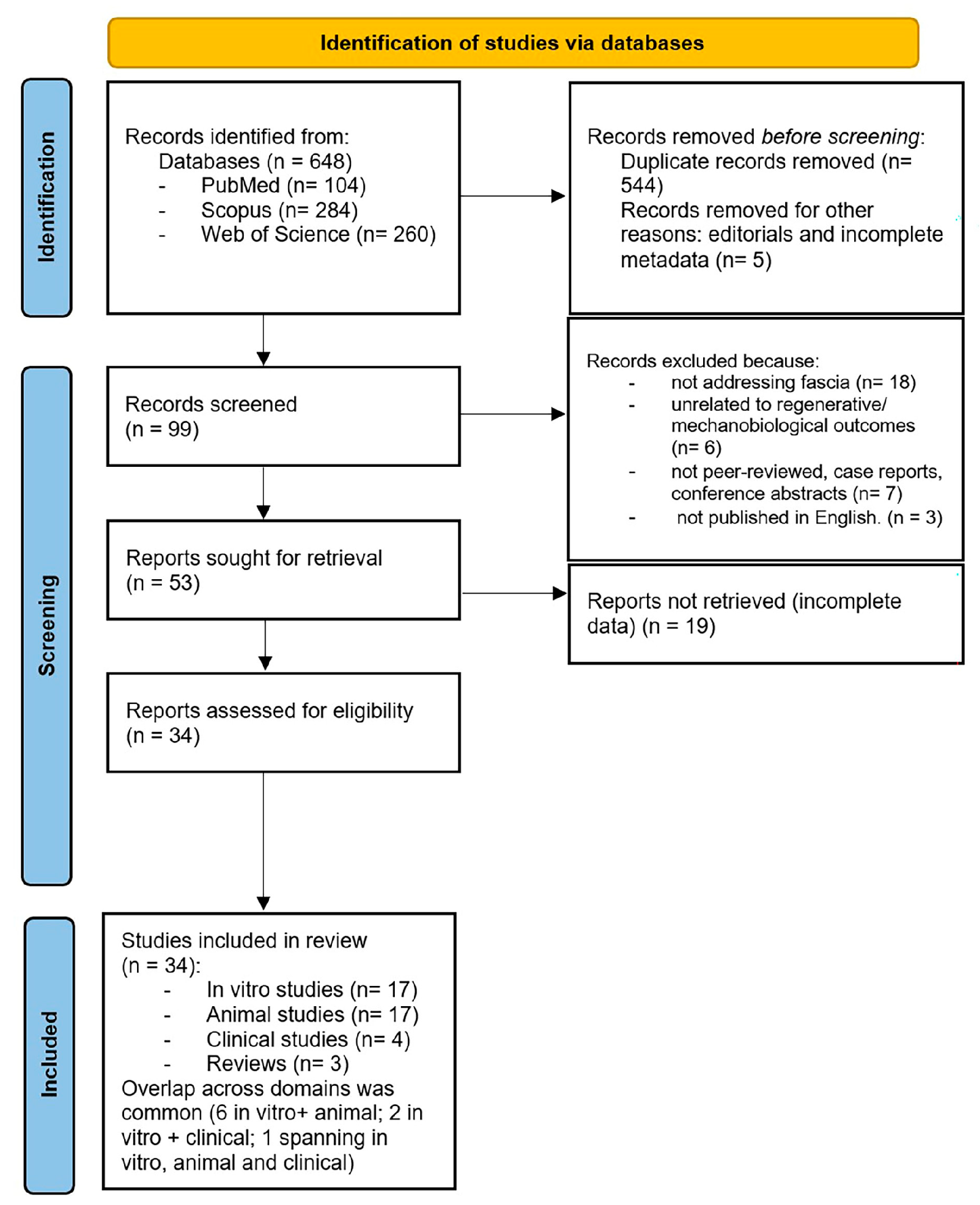 Ijms 26 10166 g001 Ijms 26 10166 g001