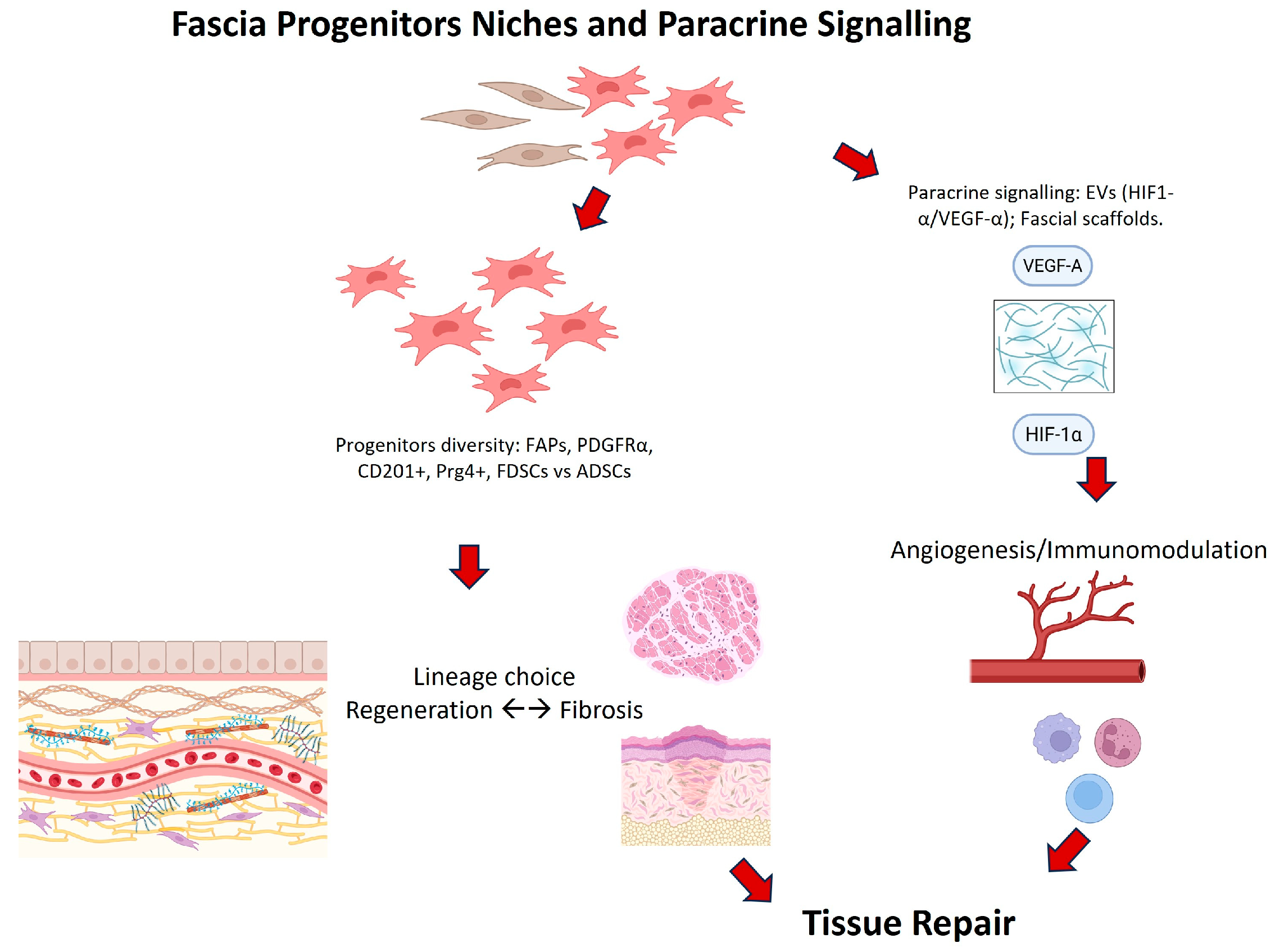 Ijms 26 10166 g003 Ijms 26 10166 g003