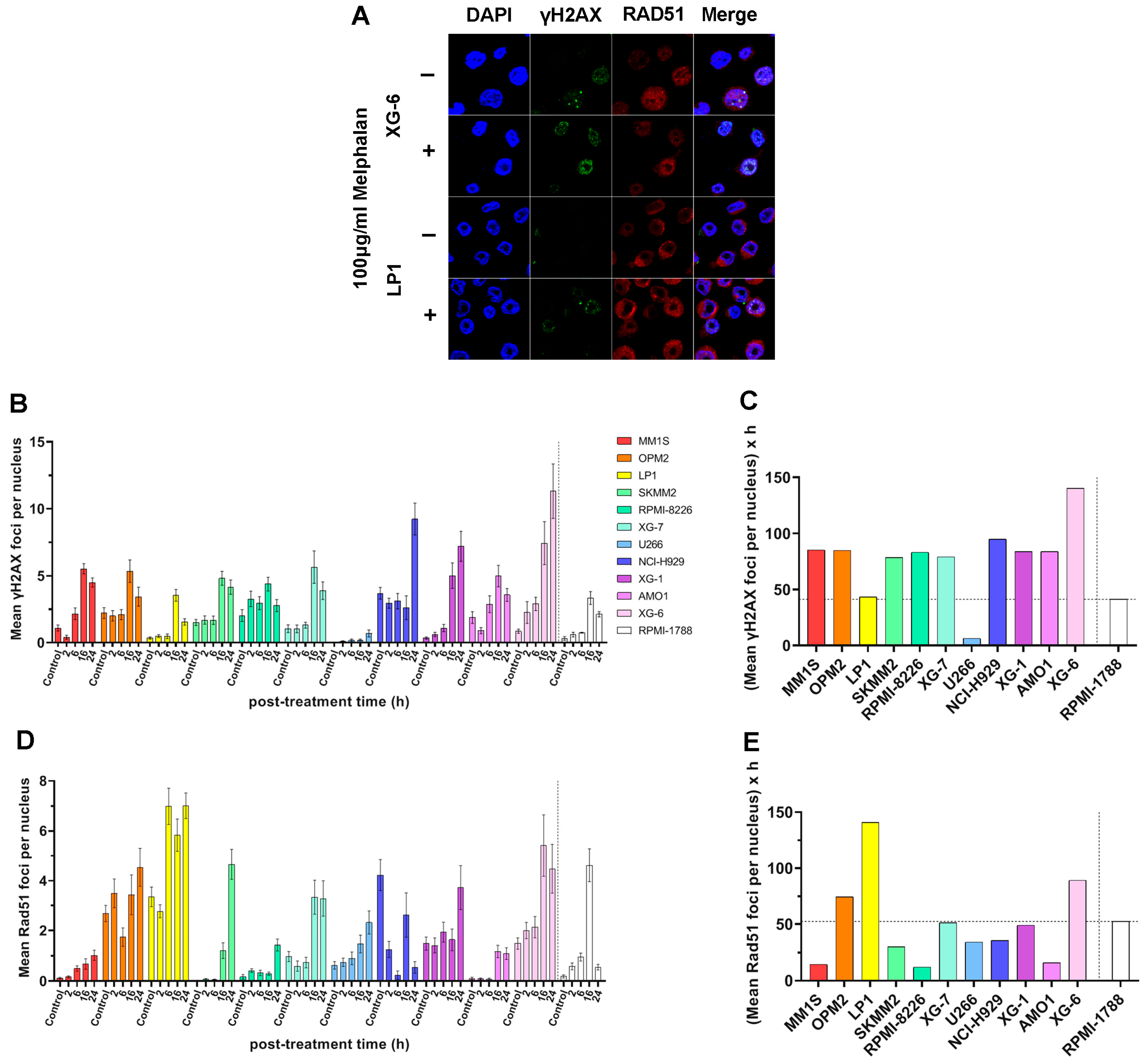 Ijms 26 10171 g005 Ijms 26 10171 g005