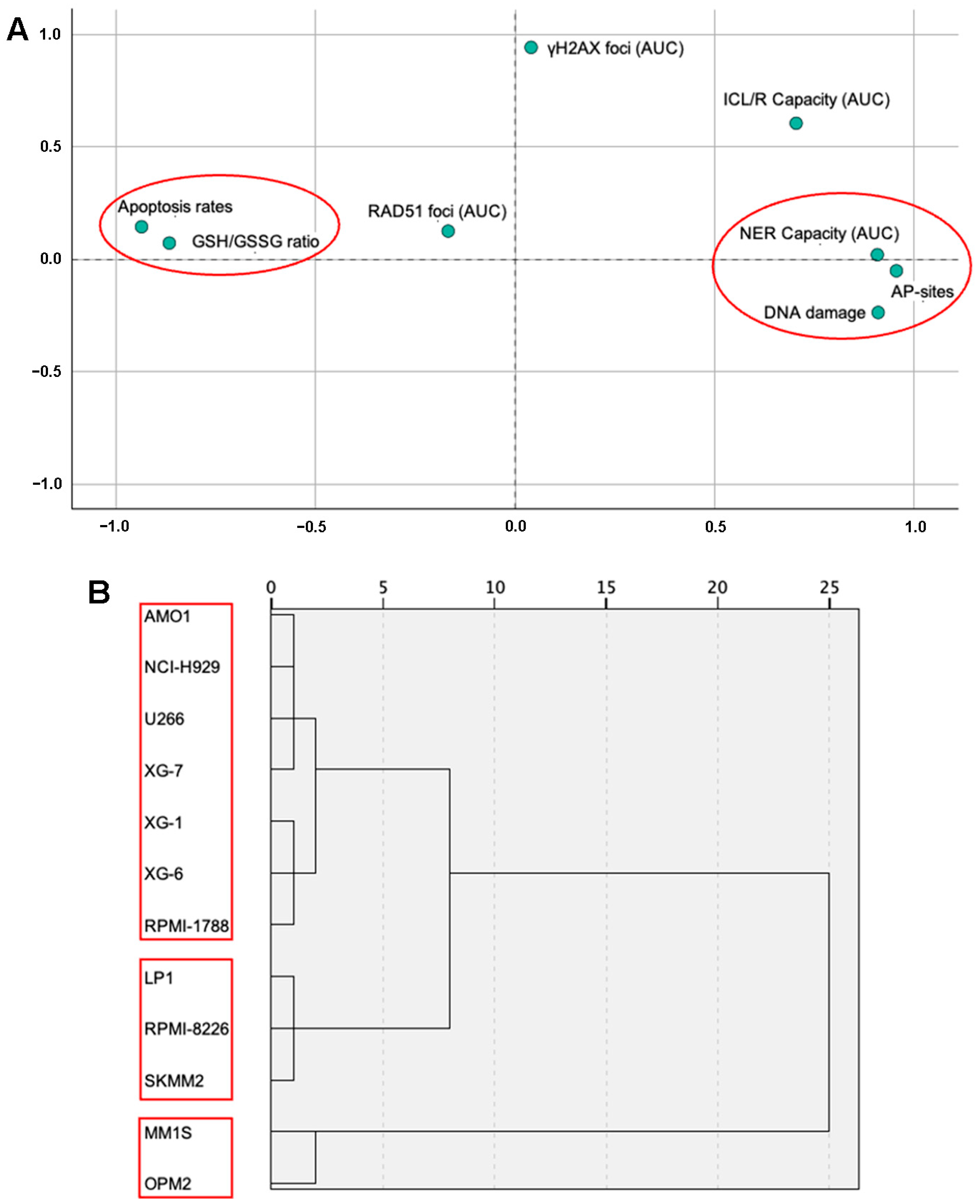 Ijms 26 10171 g006 Ijms 26 10171 g006