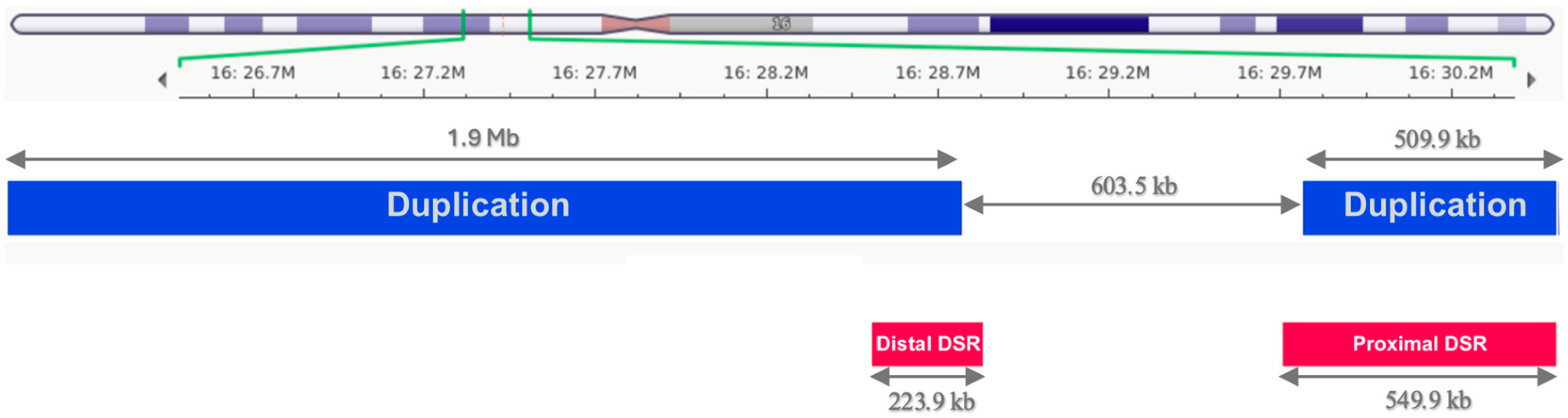 Ijms 26 10176 g001 Ijms 26 10176 g001