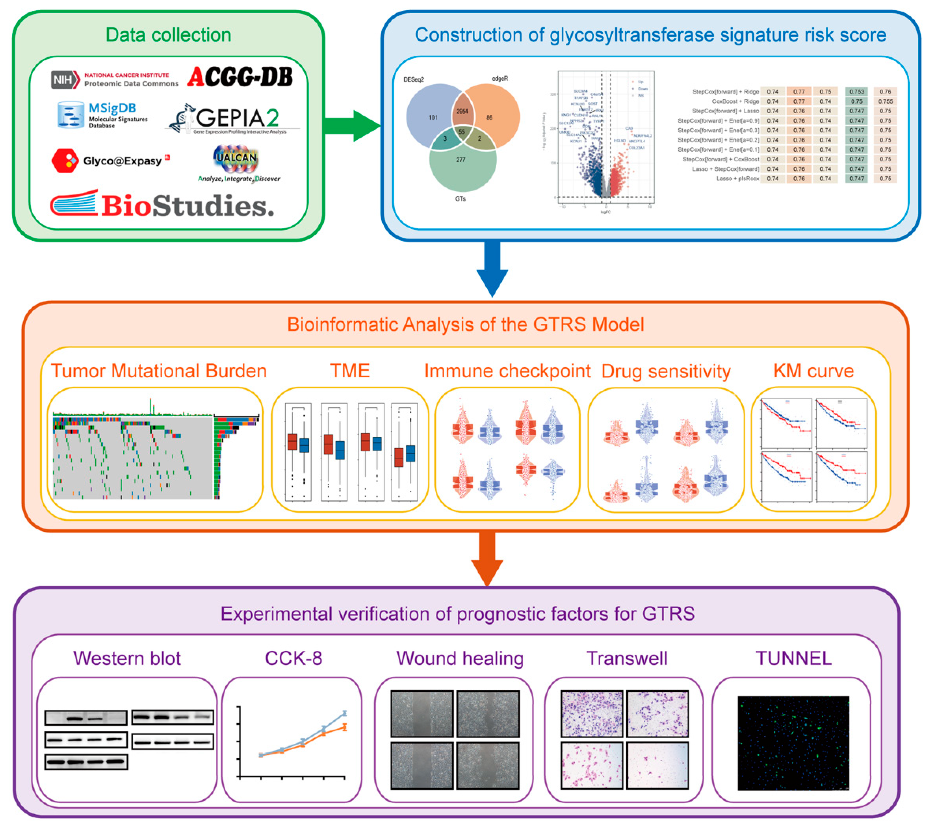Ijms 26 10182 g001 Ijms 26 10182 g001