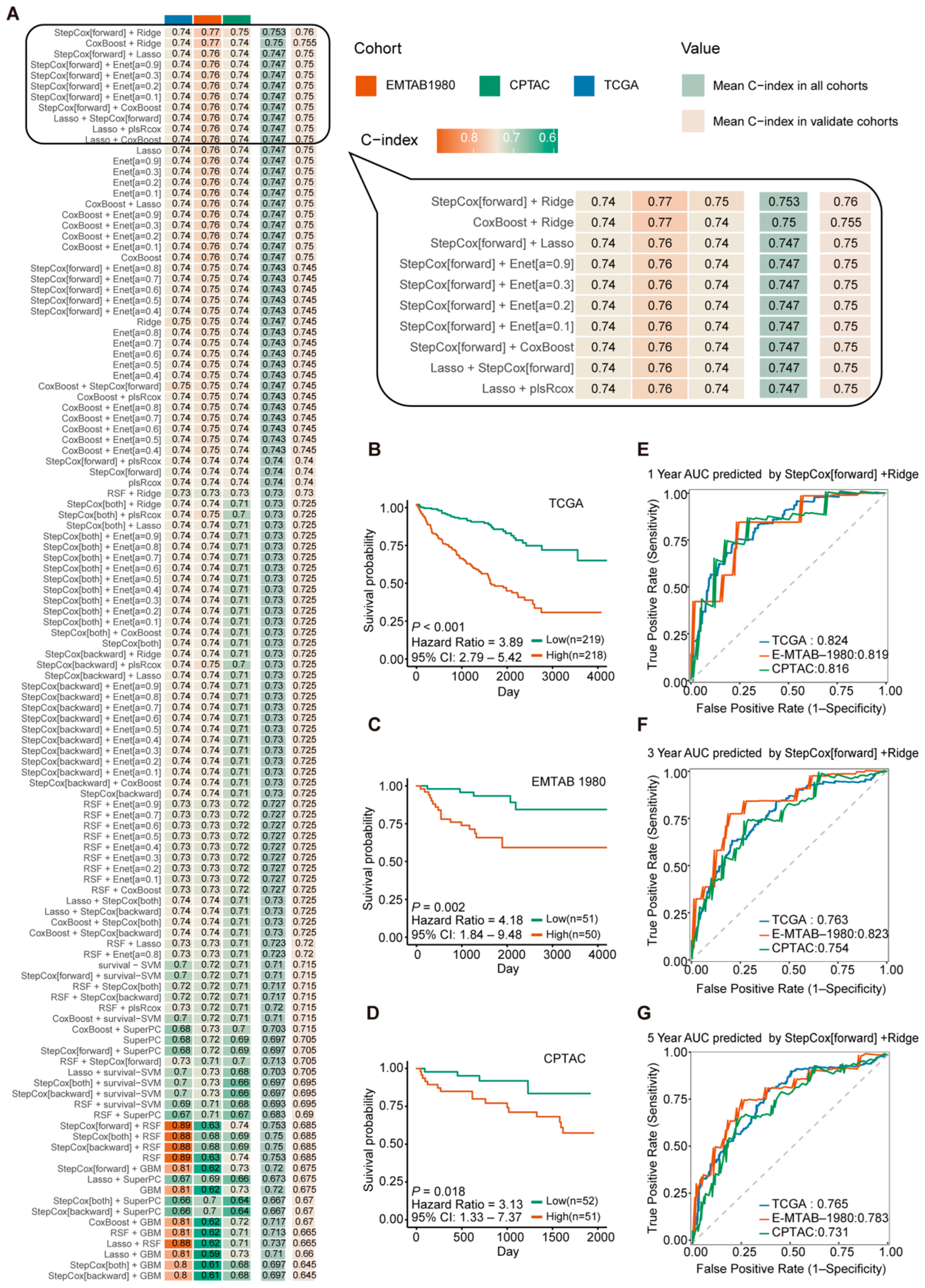 Ijms 26 10182 g003 Ijms 26 10182 g003