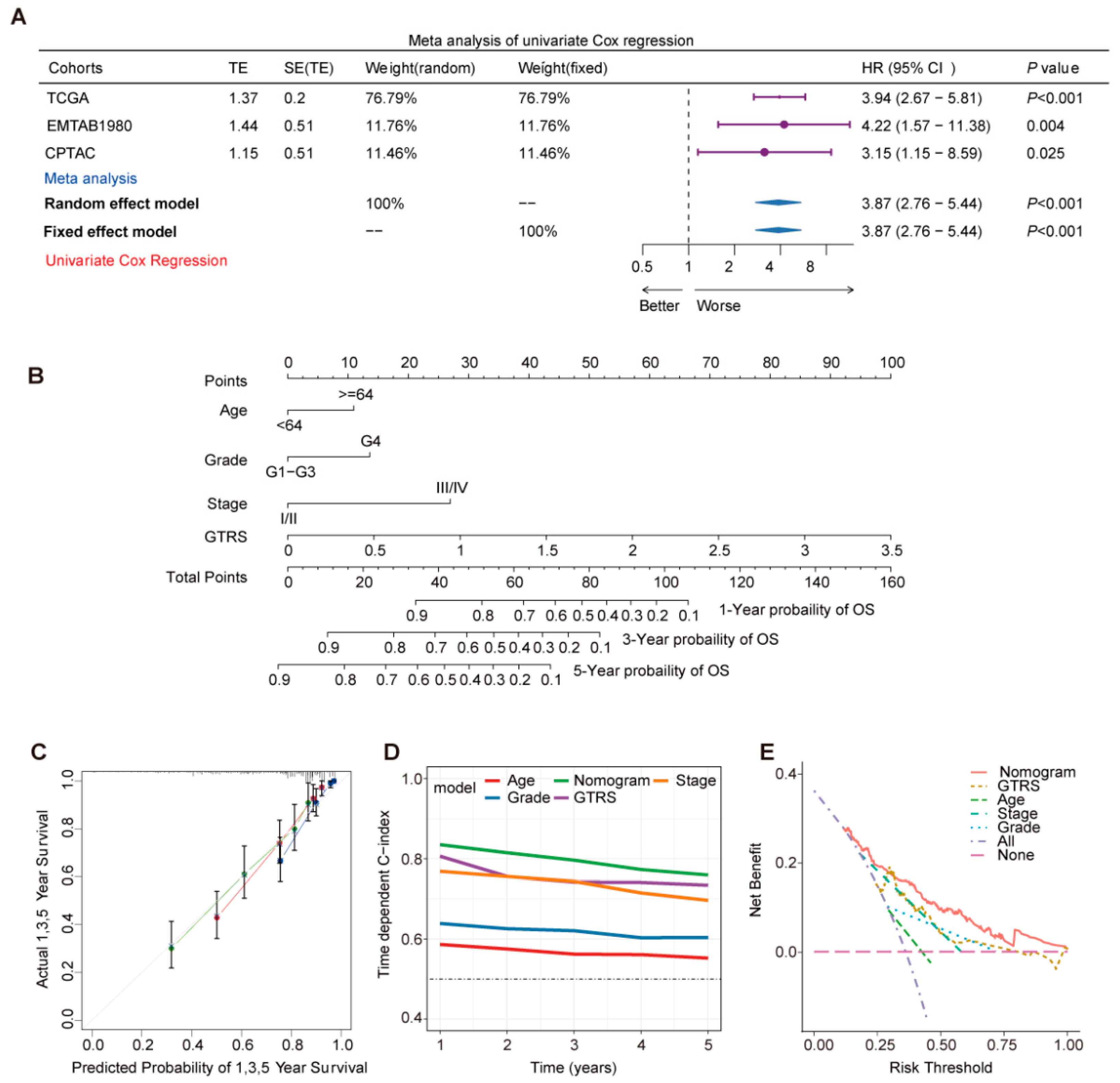 Ijms 26 10182 g004 Ijms 26 10182 g004