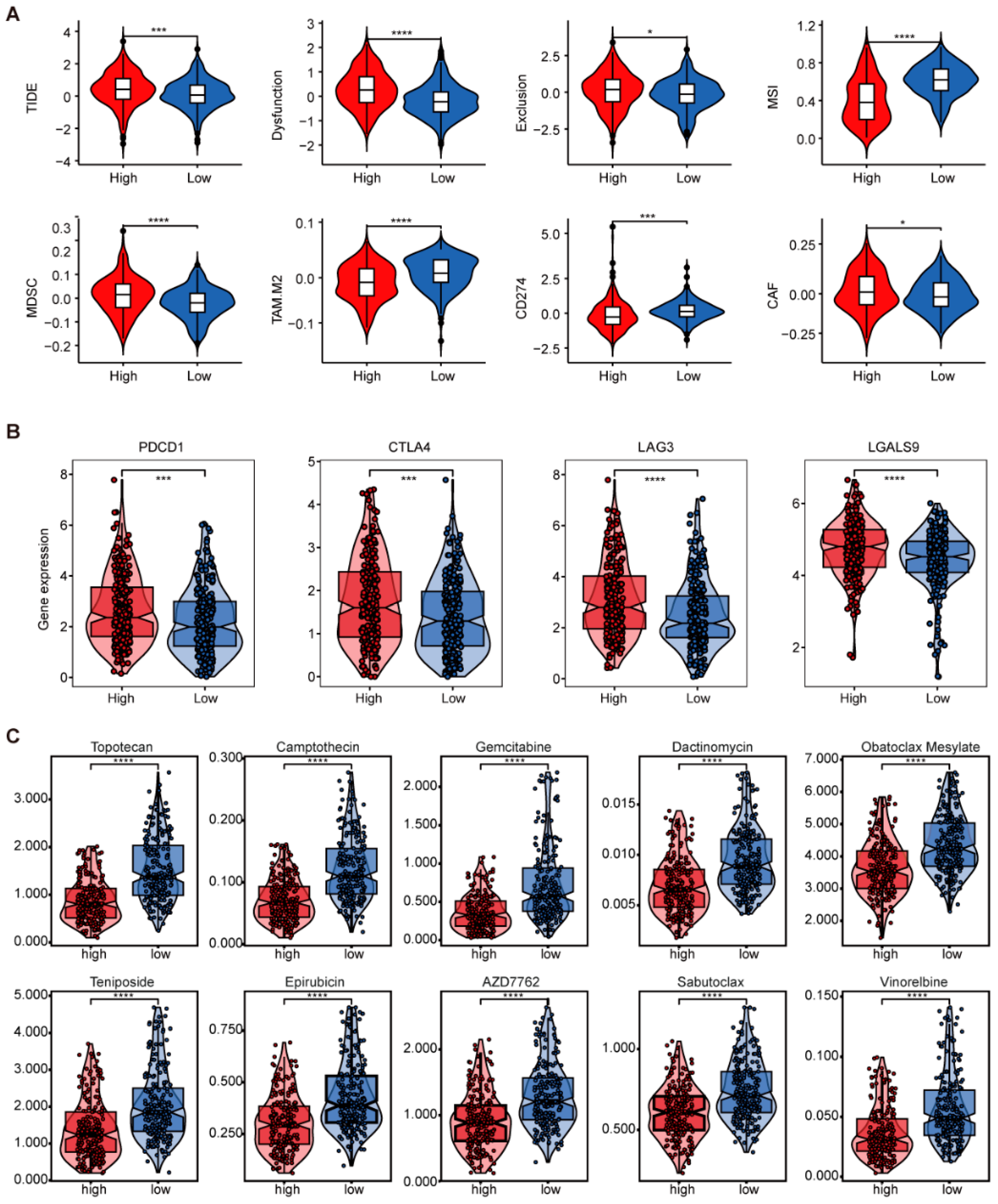 Ijms 26 10182 g007 Ijms 26 10182 g007