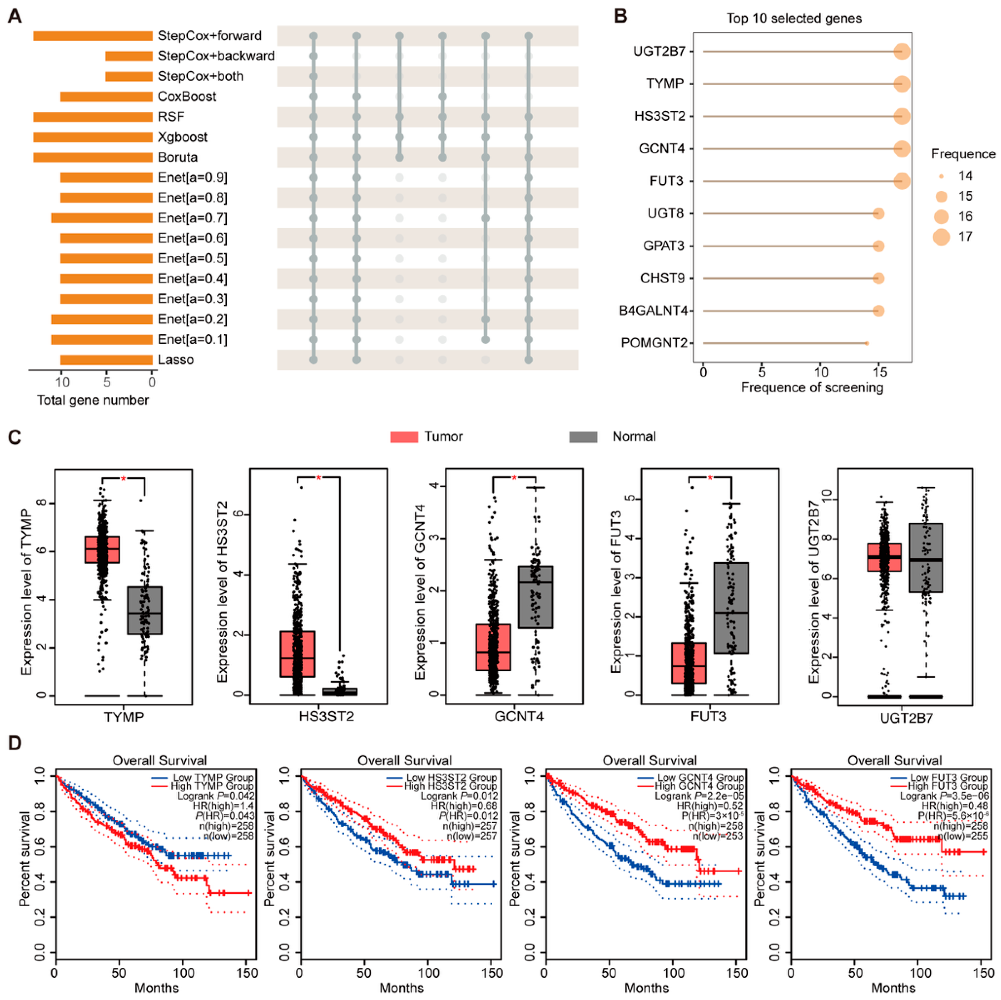 Ijms 26 10182 g008 Ijms 26 10182 g008