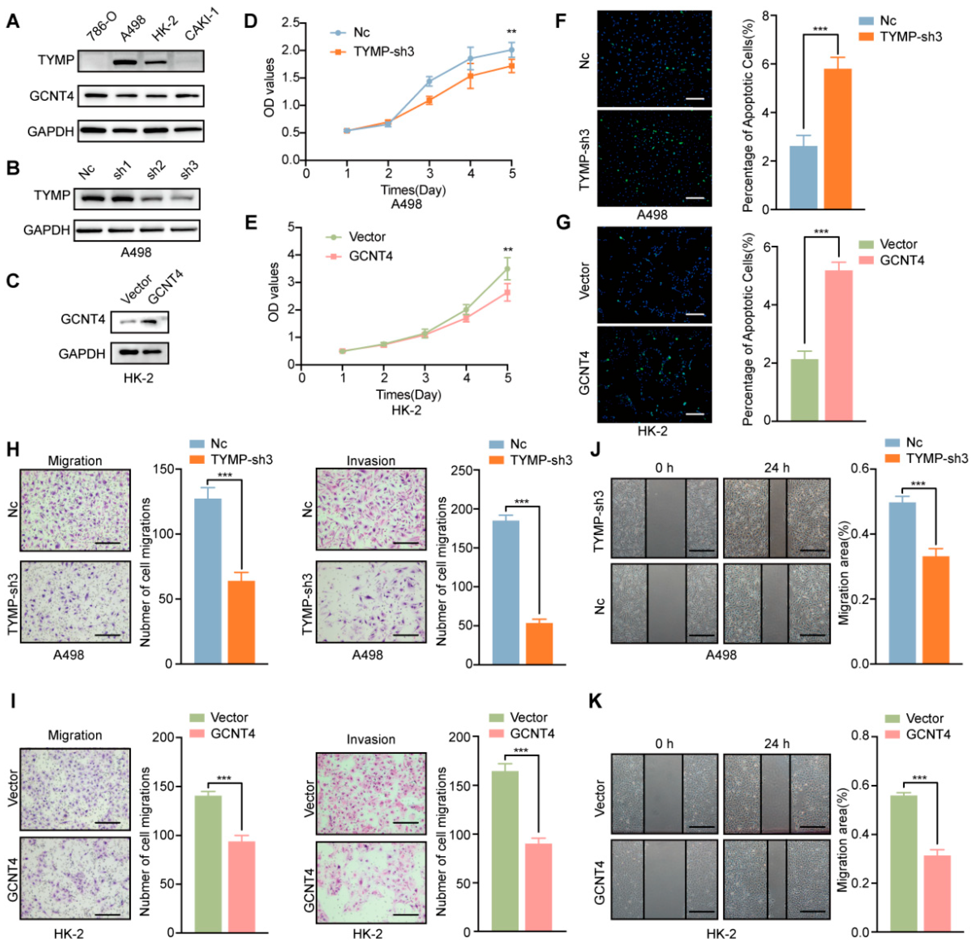 Ijms 26 10182 g009 Ijms 26 10182 g009