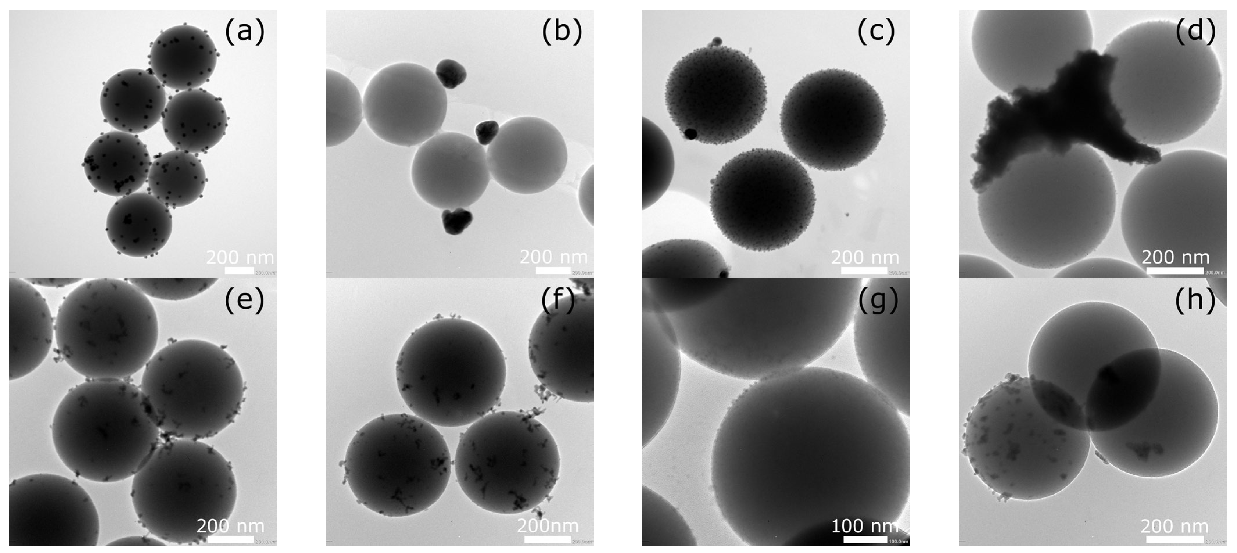 Ijms 26 10203 g002 Ijms 26 10203 g002