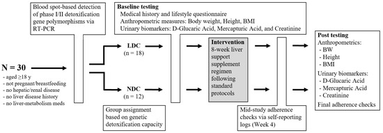 glutathione phase 2 detox Does Genetic Variation in Detoxification Capacity Influence Hepatic Biomarker Responses to a Liver Support Supplementation Regimen? Size:90 Servings High Potency 500mg Reduced AOD 9604