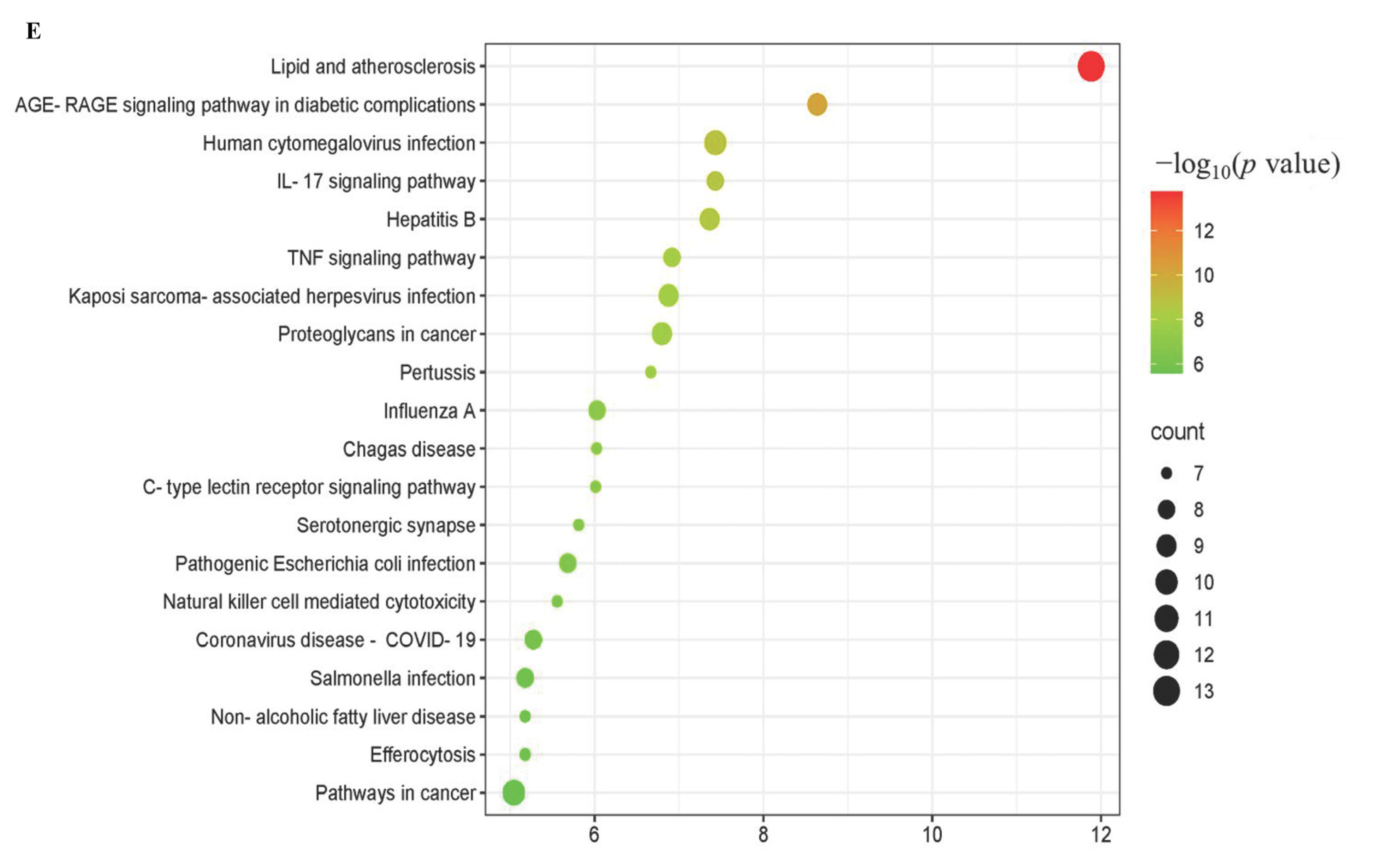Ijms 26 10231 g004c Ijms 26 10231 g004c