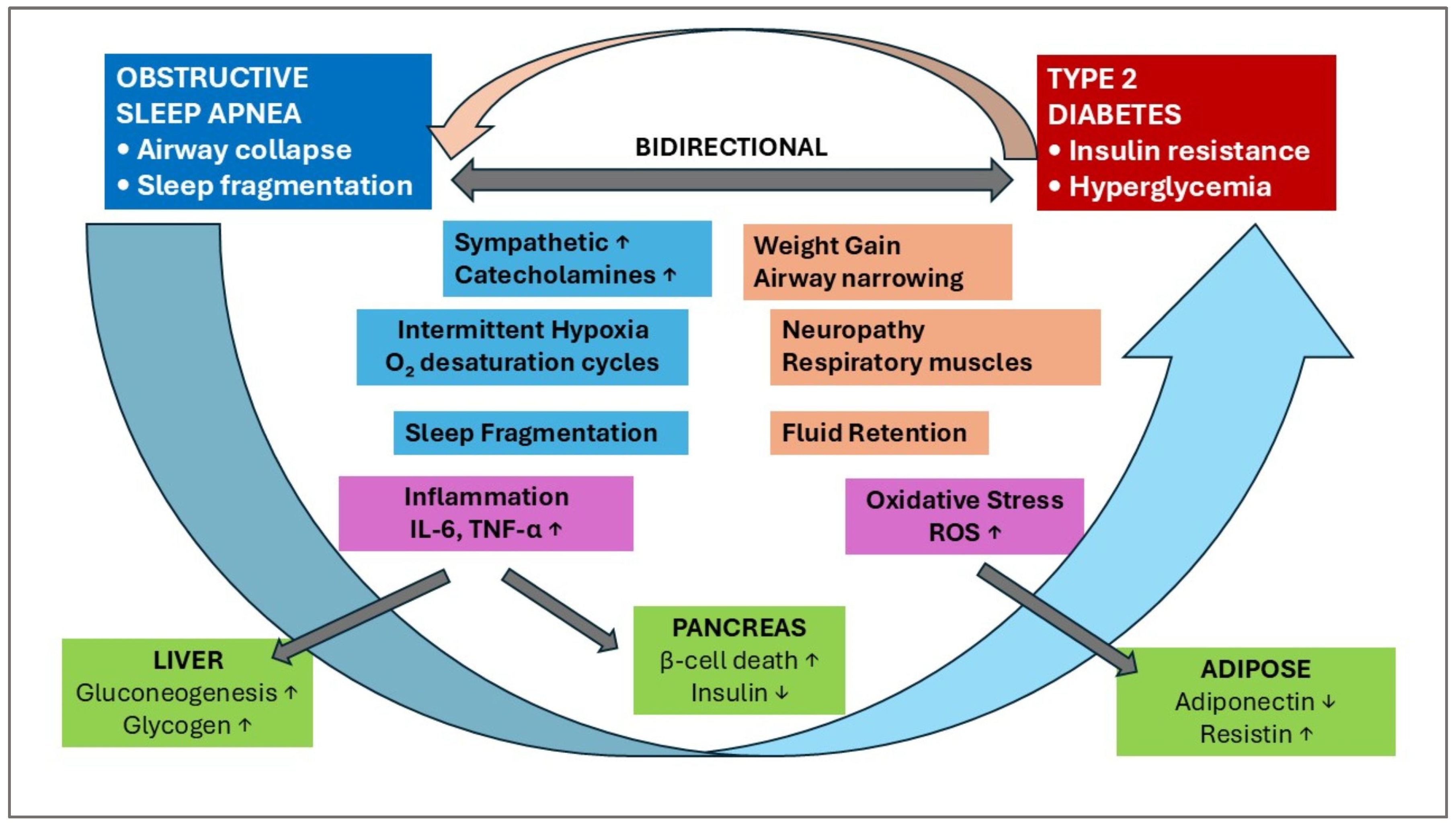 Ijms 26 10234 g001 Ijms 26 10234 g001