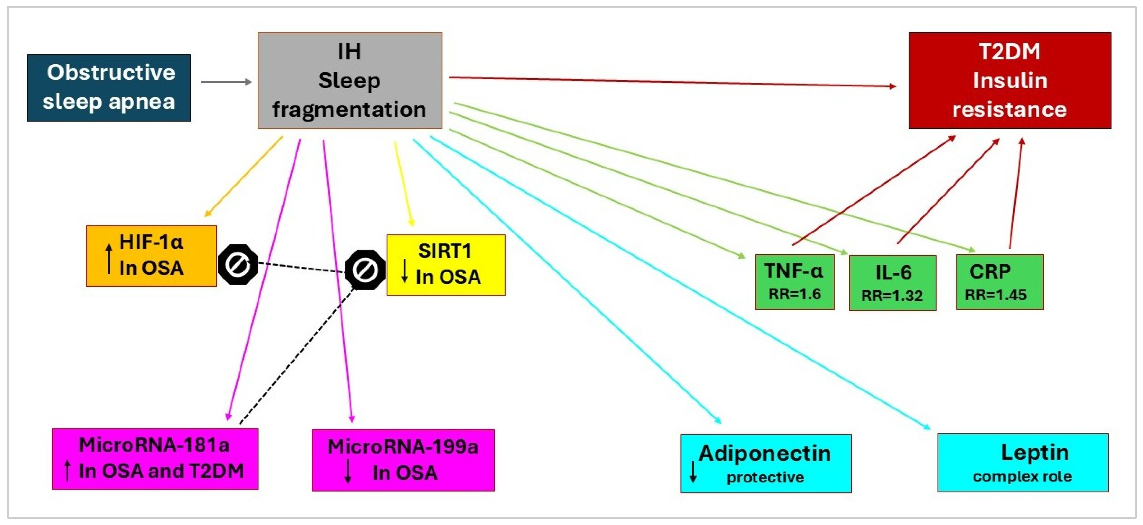Ijms 26 10234 g002 Ijms 26 10234 g002