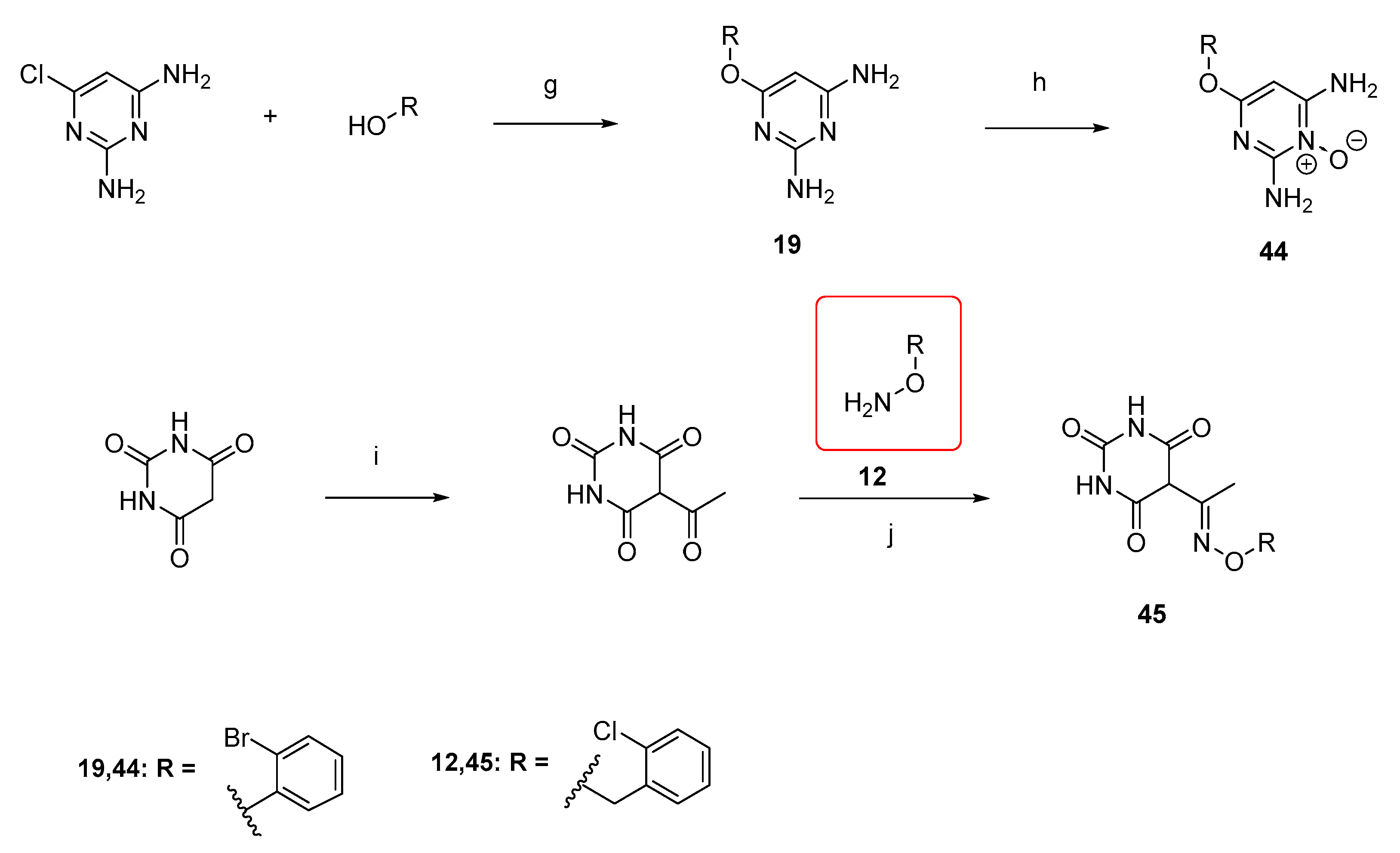 Ijms 26 10239 sch004