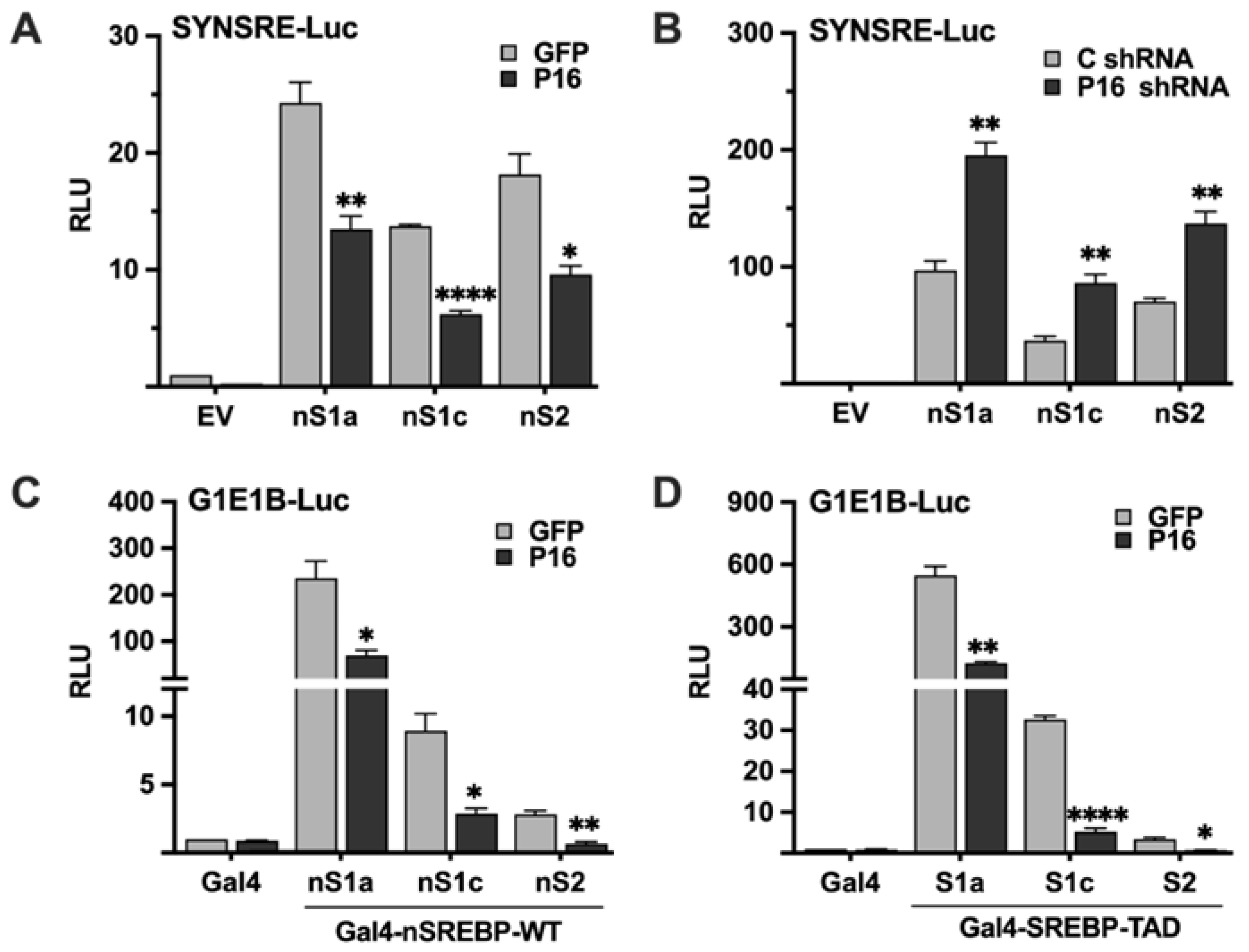 Ijms 26 10246 g003 Ijms 26 10246 g003