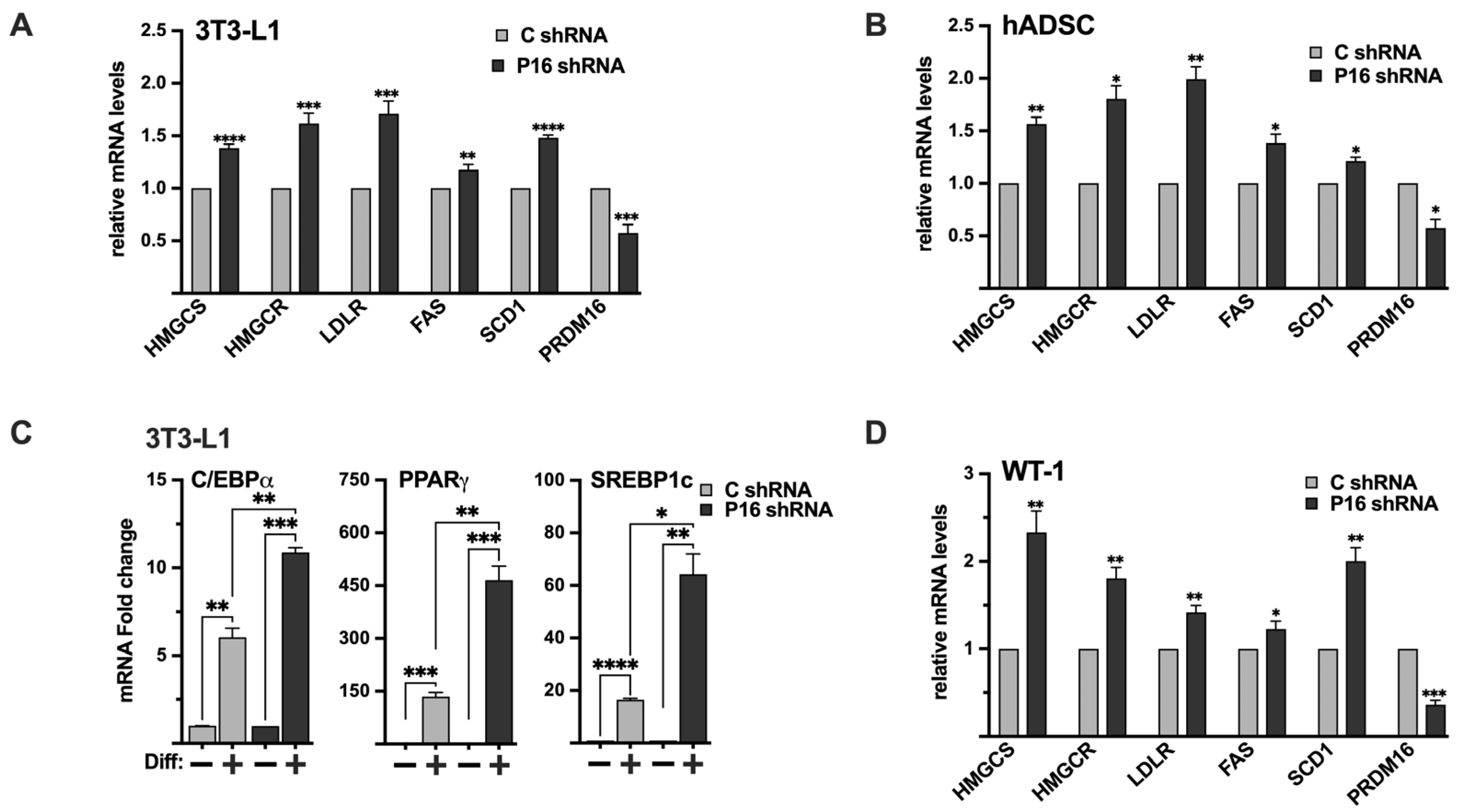 Ijms 26 10246 g008 Ijms 26 10246 g008
