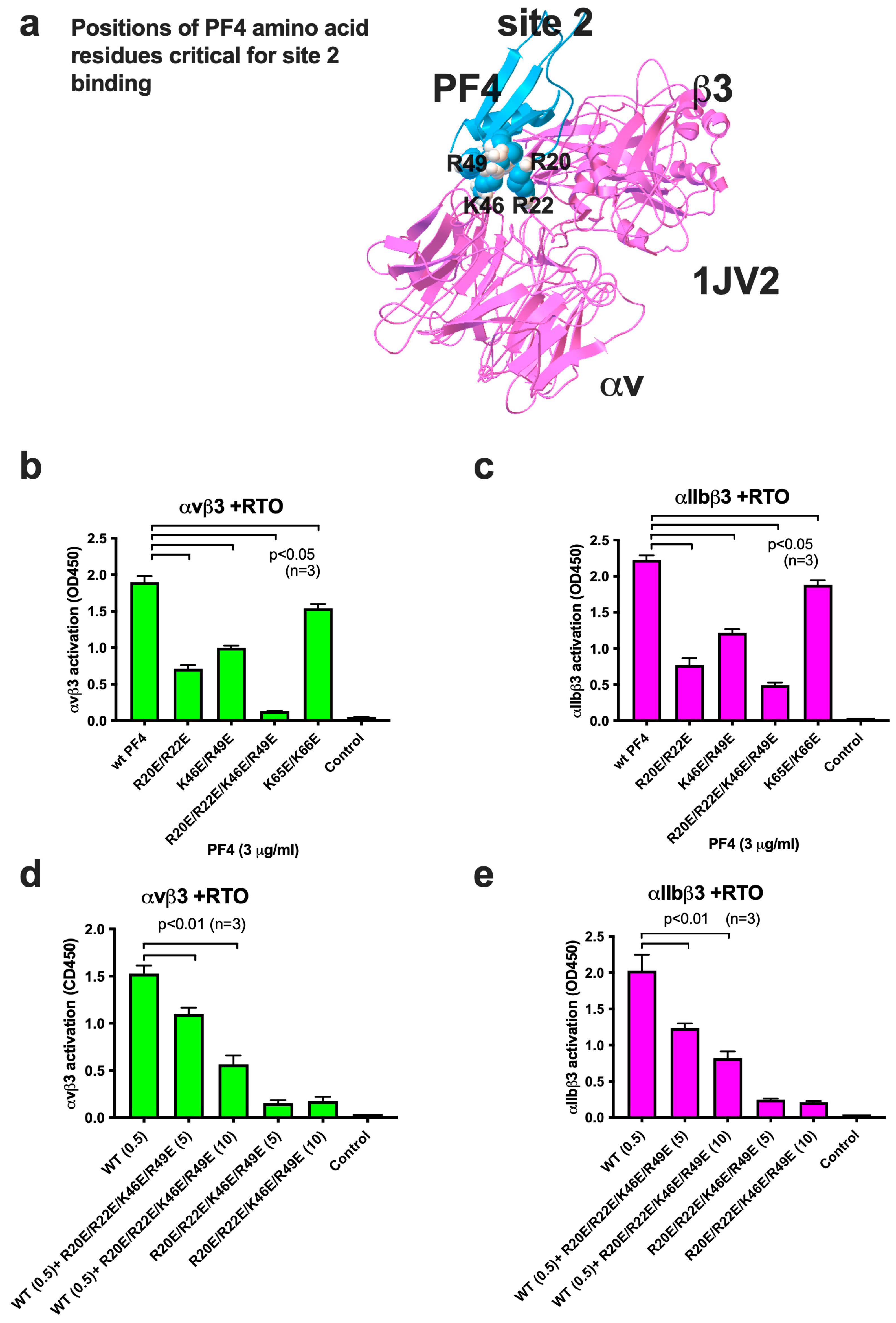 Ijms 26 10260 g004 Ijms 26 10260 g004