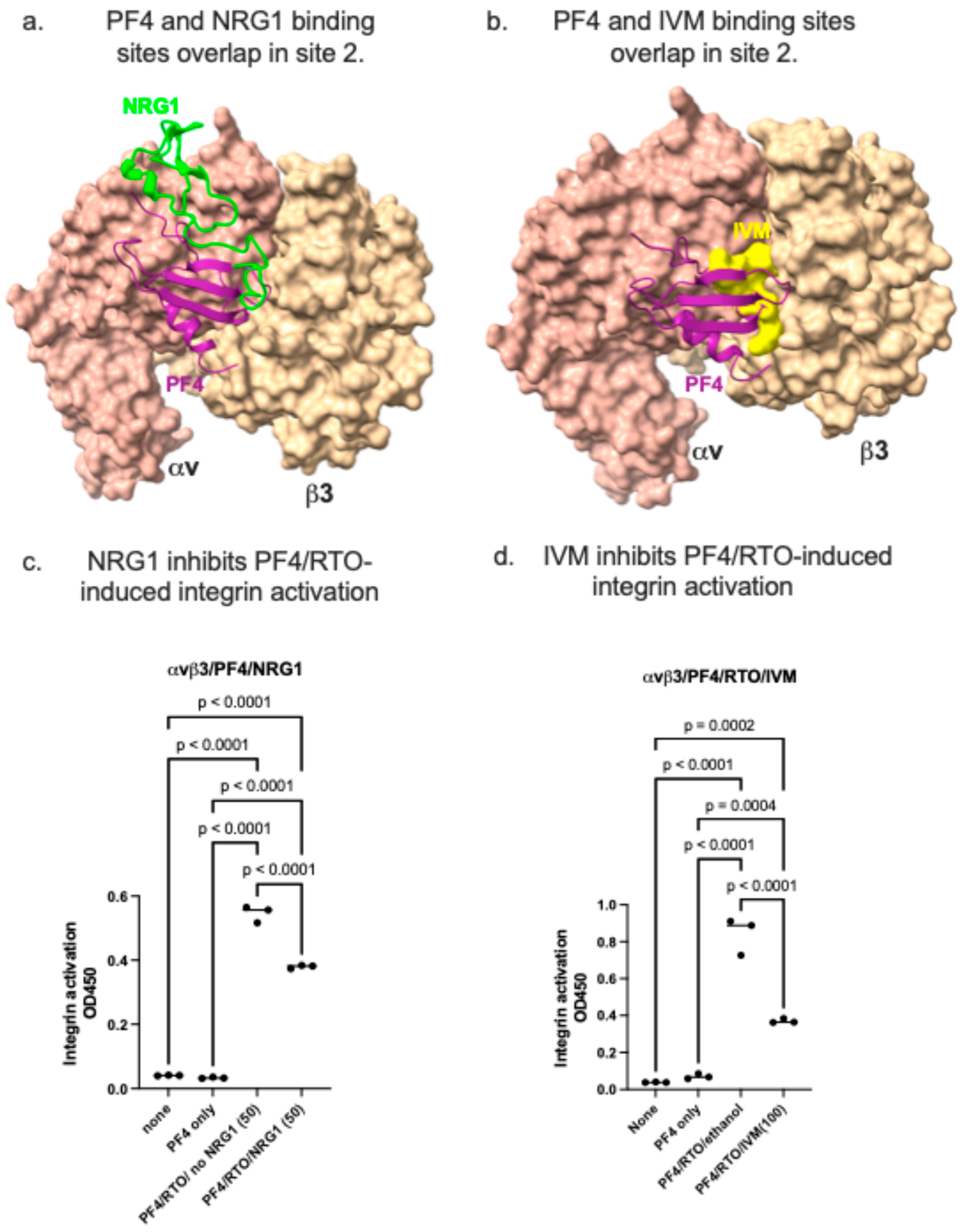 Ijms 26 10260 g006 Ijms 26 10260 g006