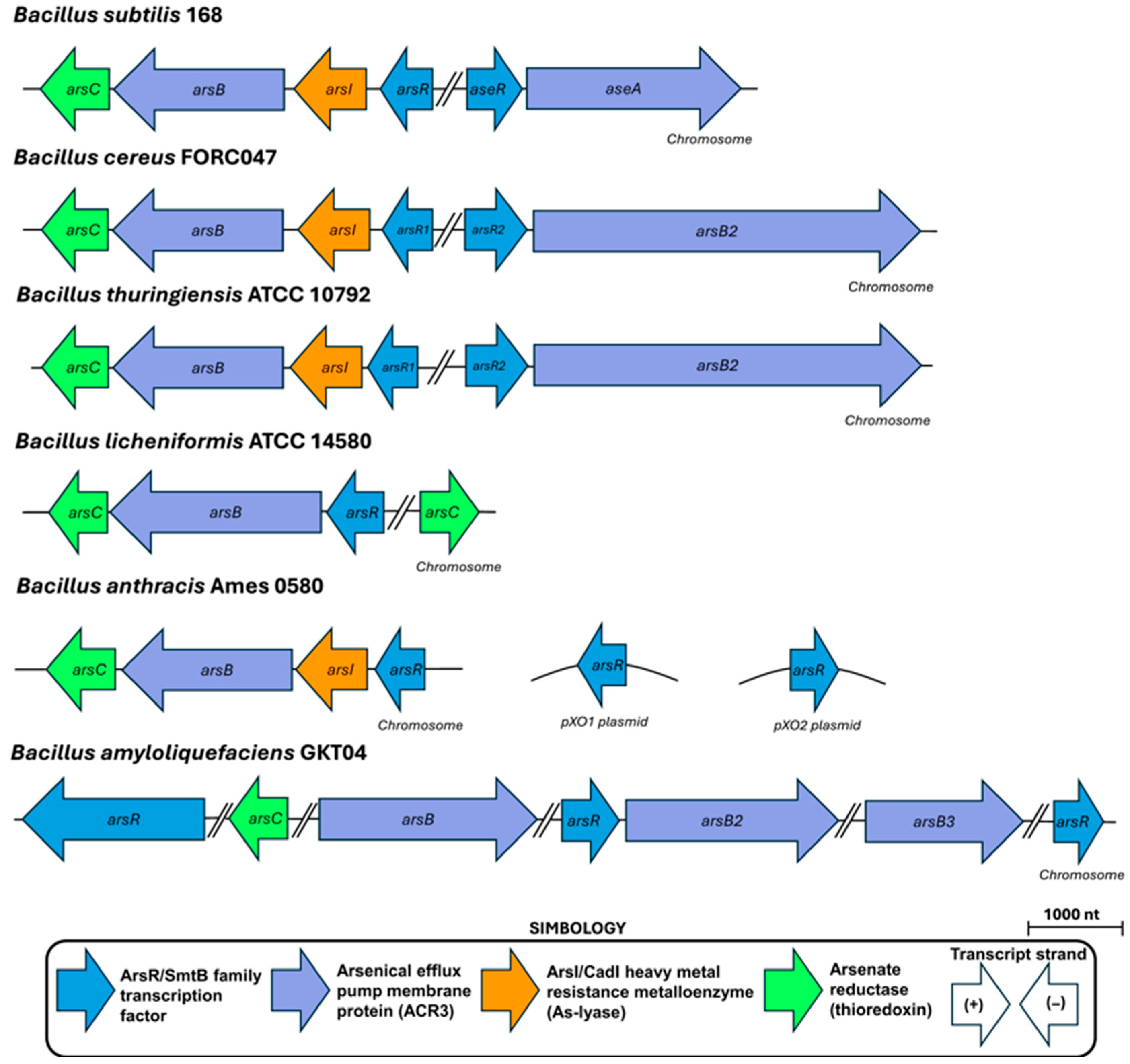 Ijms 26 10277 g002 Ijms 26 10277 g002