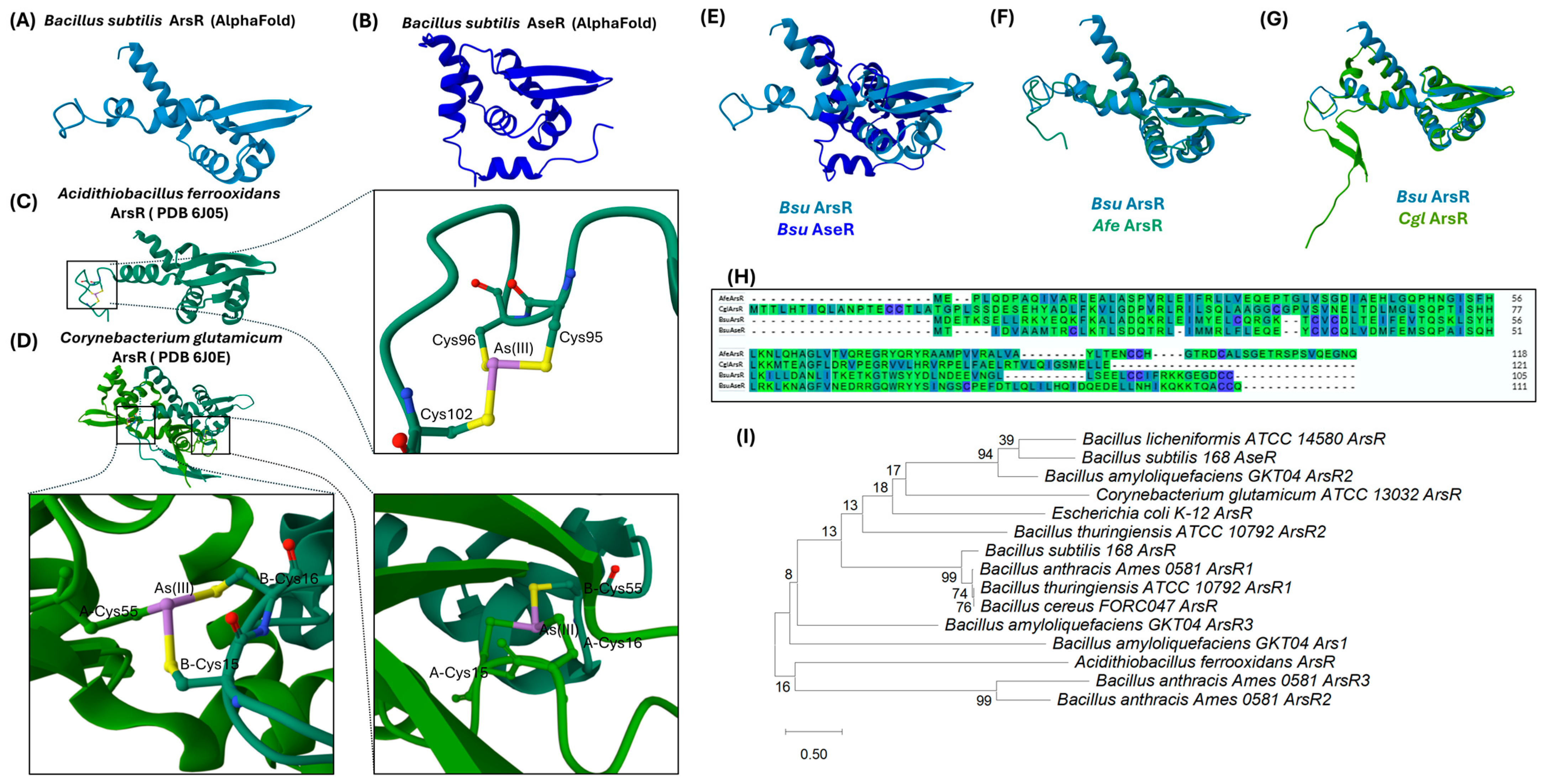 Ijms 26 10277 g003 Ijms 26 10277 g003