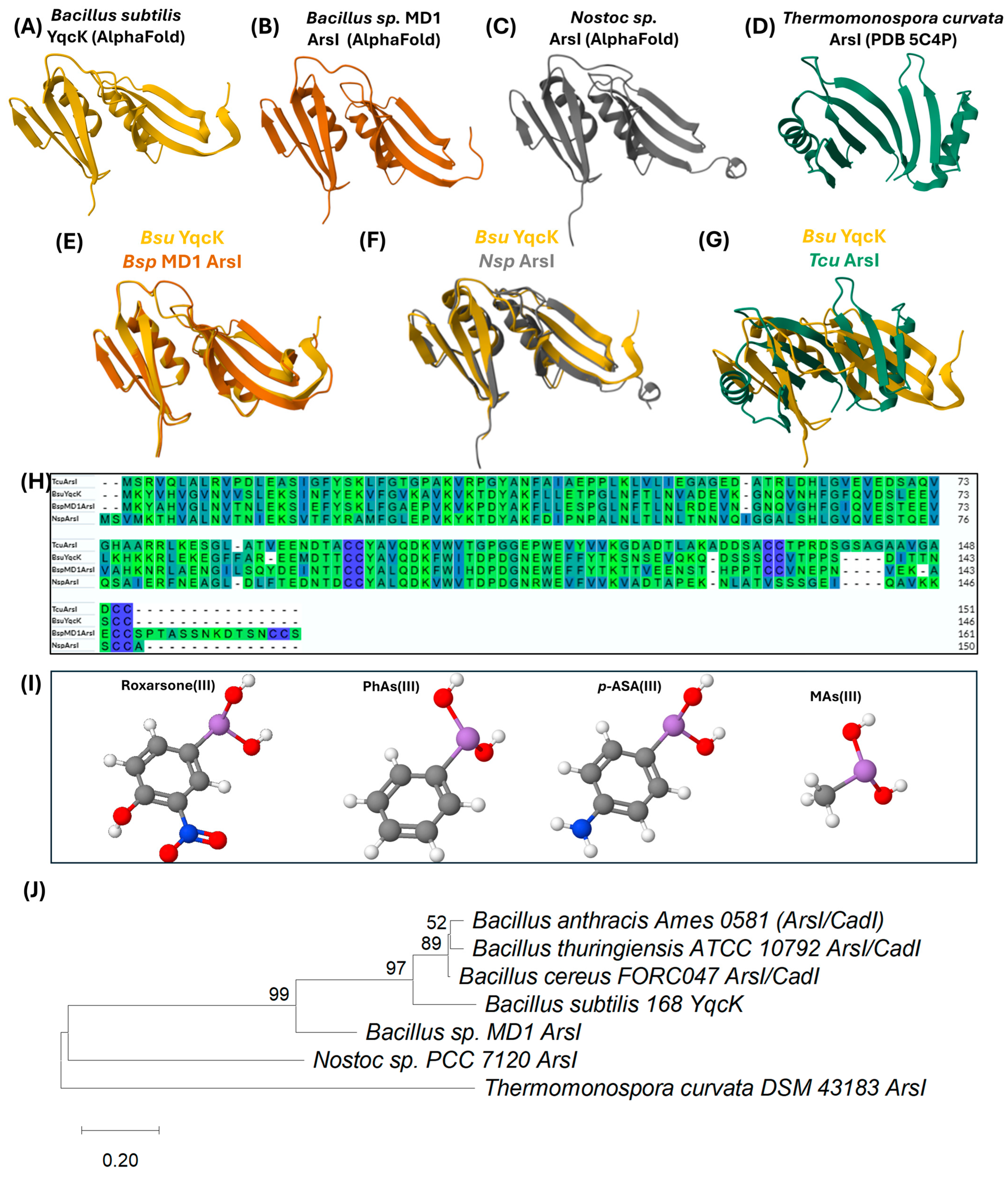 Ijms 26 10277 g004 Ijms 26 10277 g004