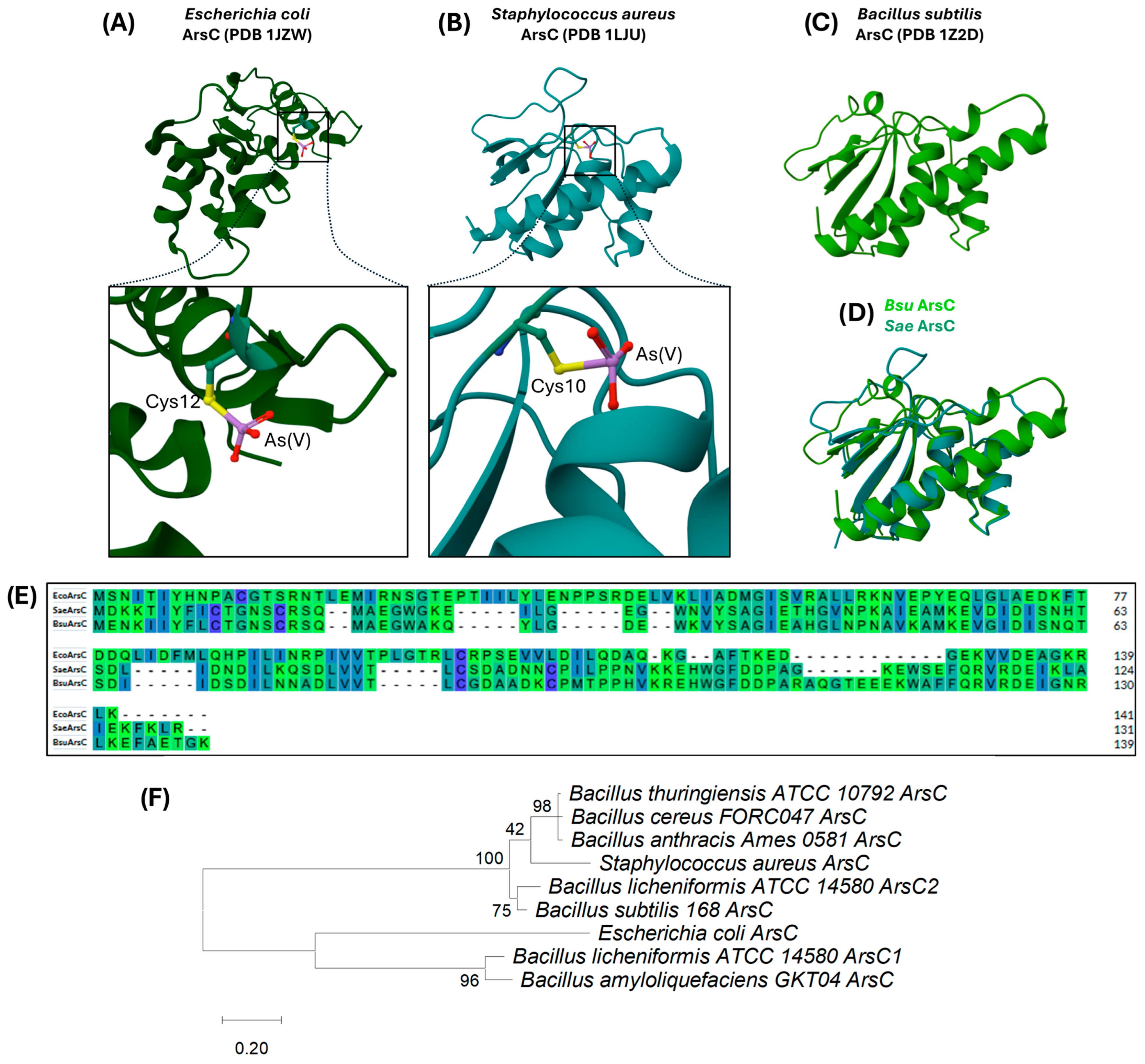 Ijms 26 10277 g006 Ijms 26 10277 g006