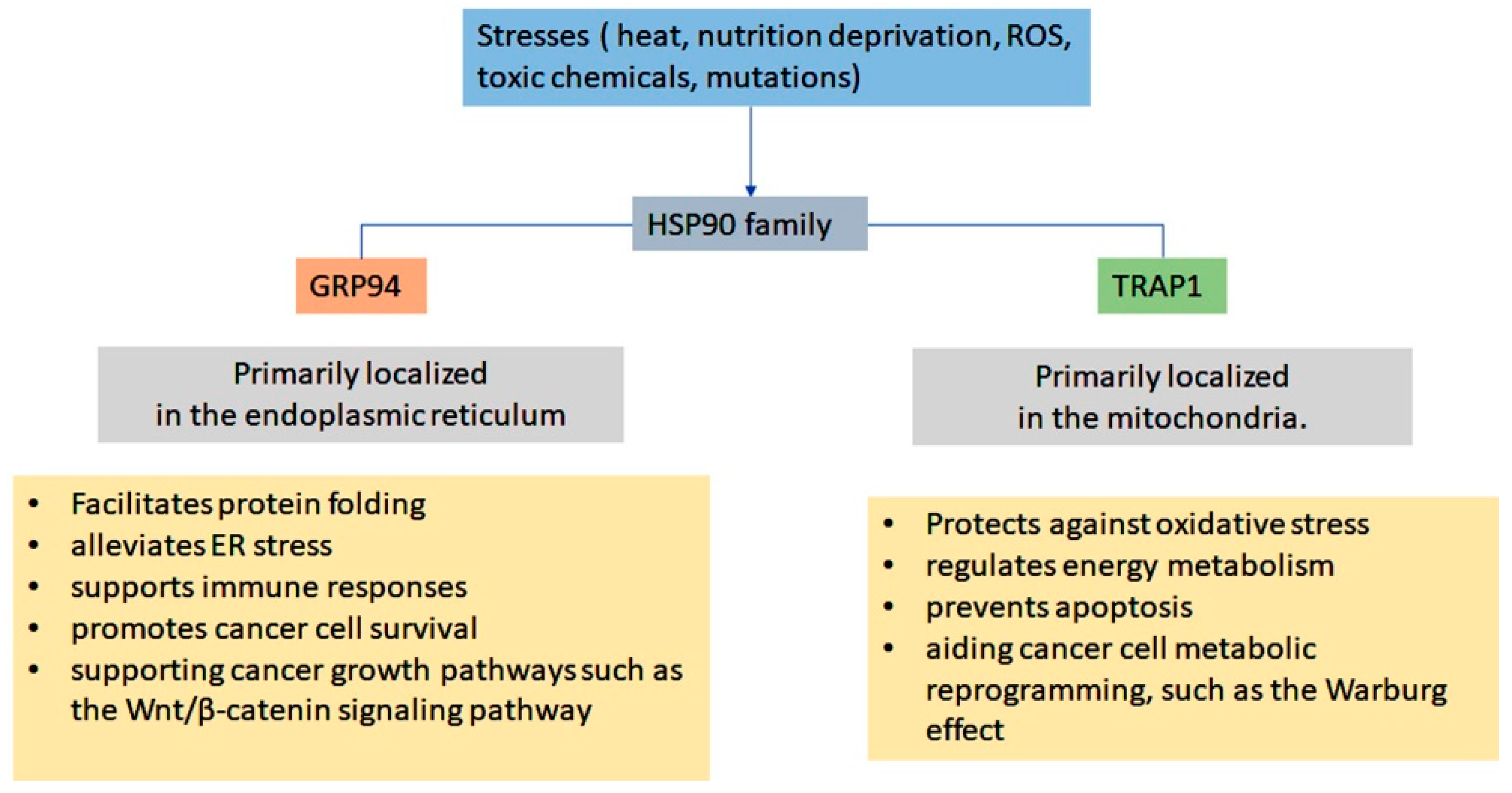 Ijms 26 10279 g003 Ijms 26 10279 g003