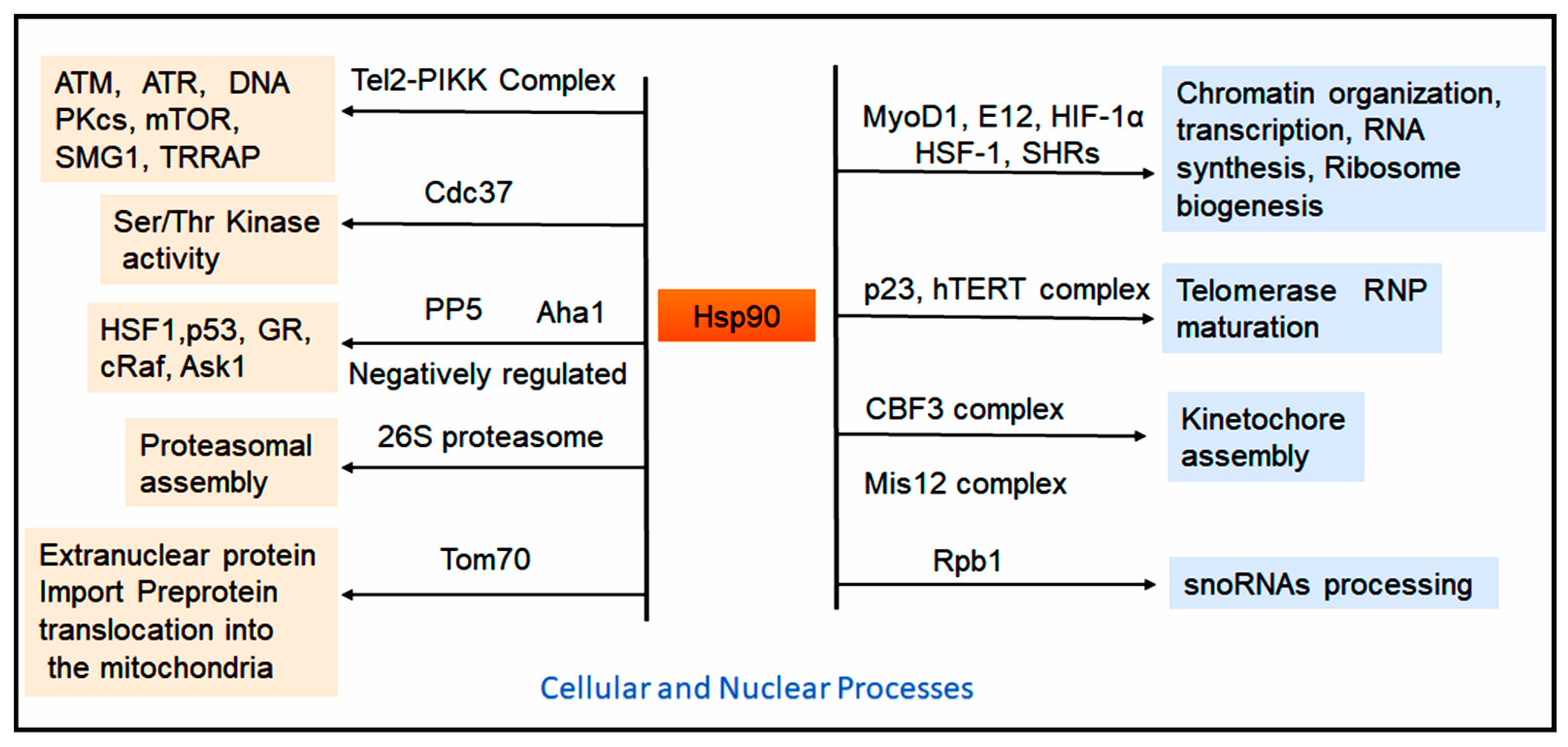 Ijms 26 10279 g004 Ijms 26 10279 g004