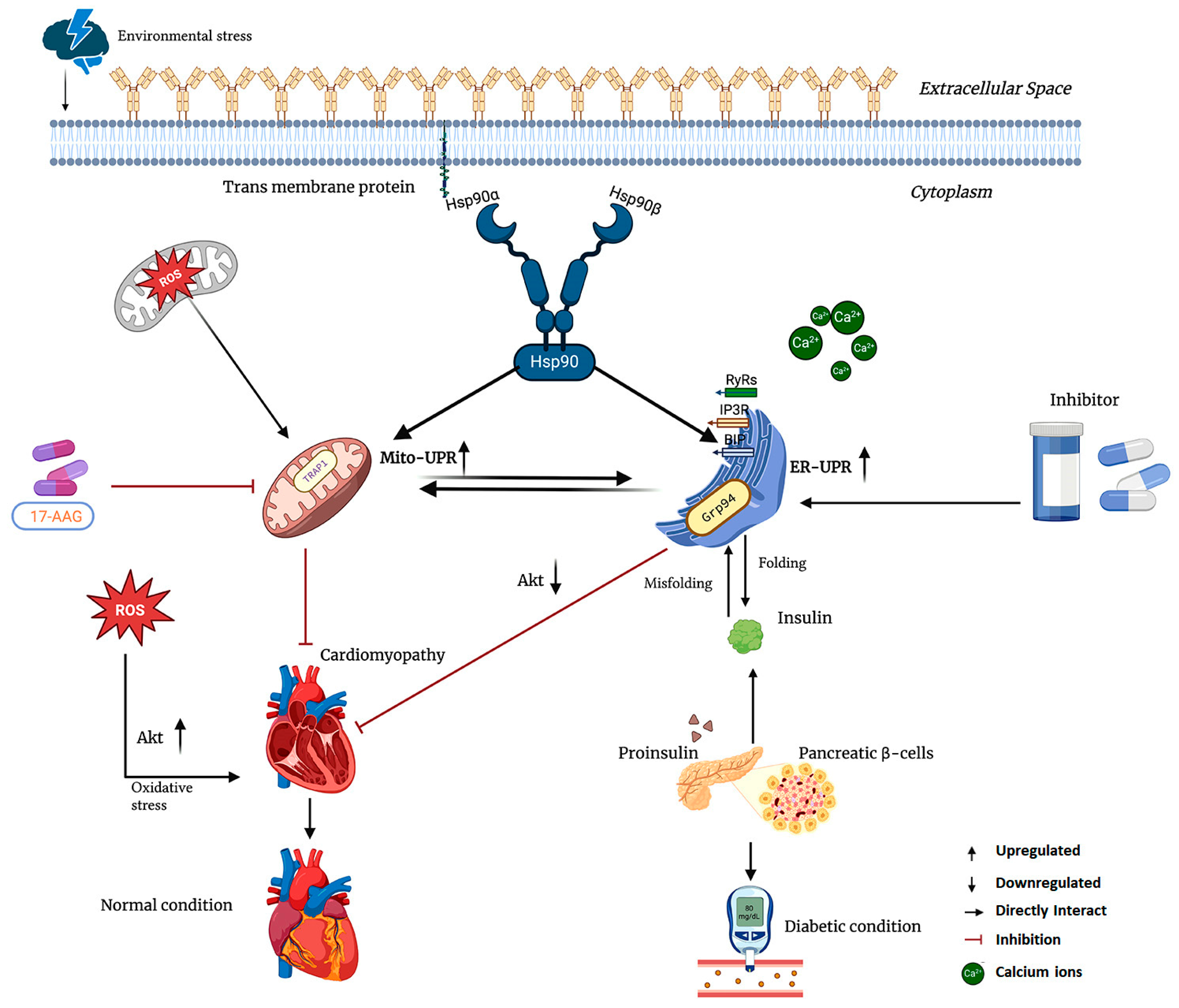 Ijms 26 10279 g005 Ijms 26 10279 g005