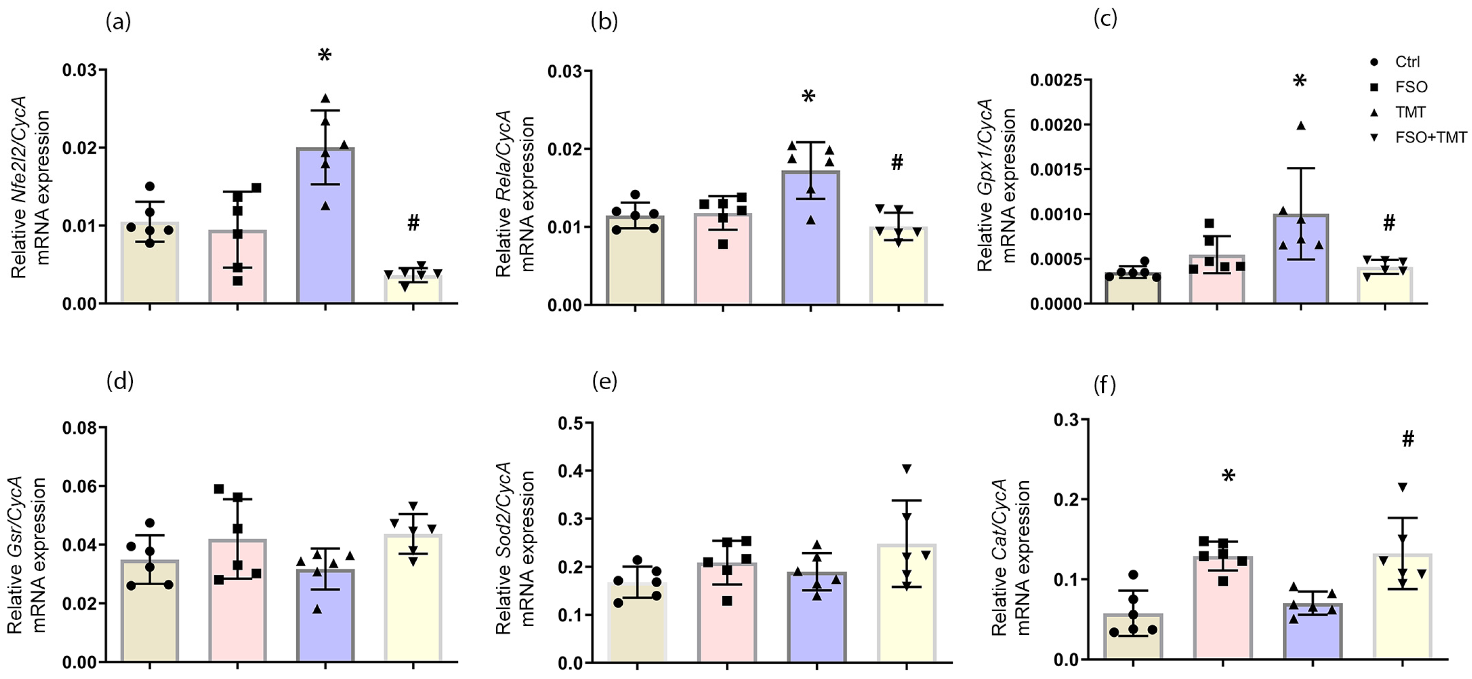 Ijms 26 10283 g002 Ijms 26 10283 g002