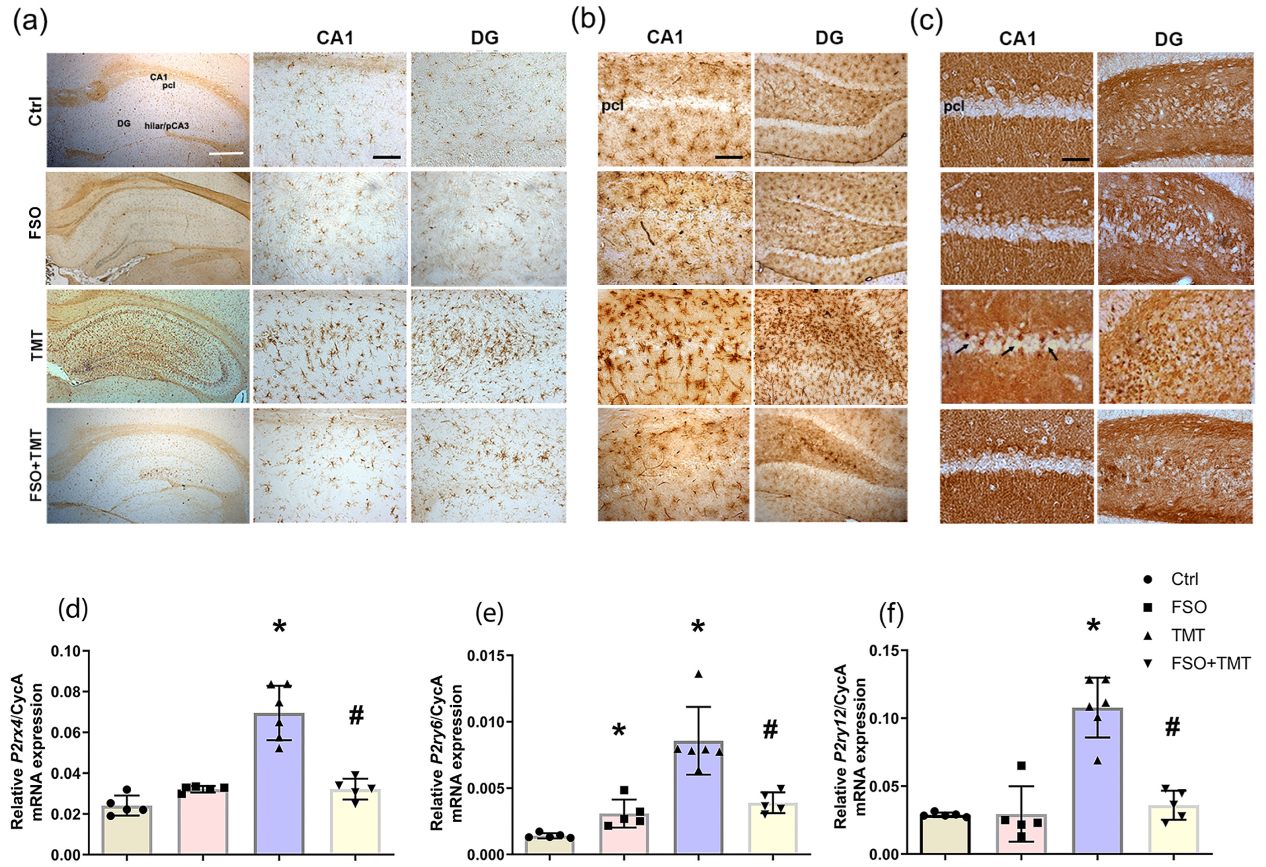 Ijms 26 10283 g003 Ijms 26 10283 g003