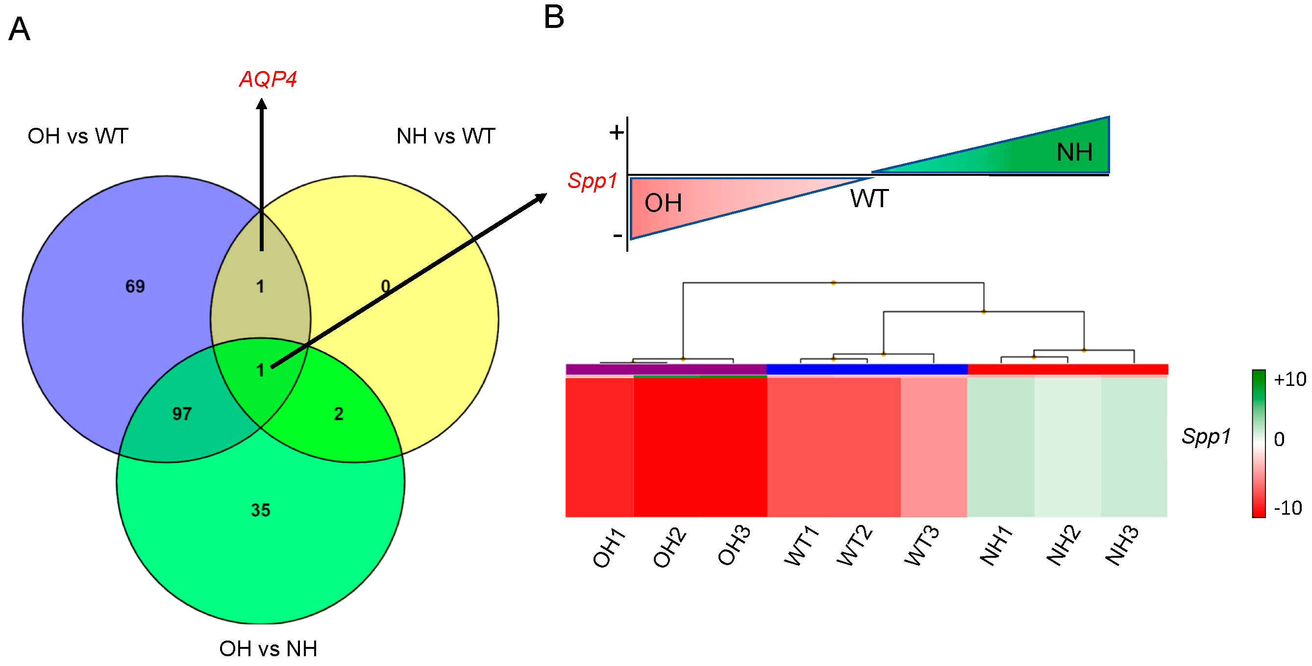 Ijms 26 10290 g002 Ijms 26 10290 g002