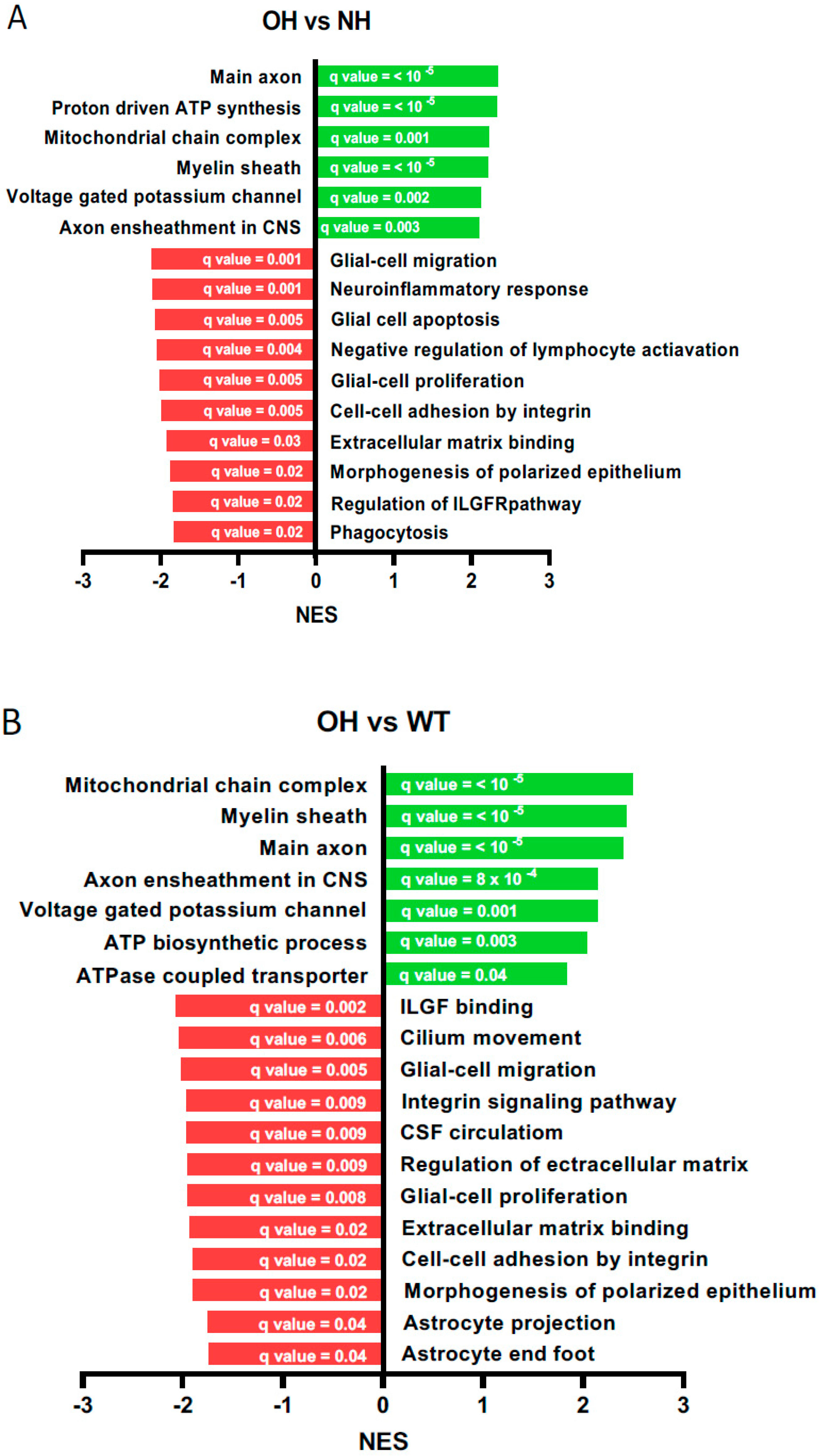 Ijms 26 10290 g003a Ijms 26 10290 g003a