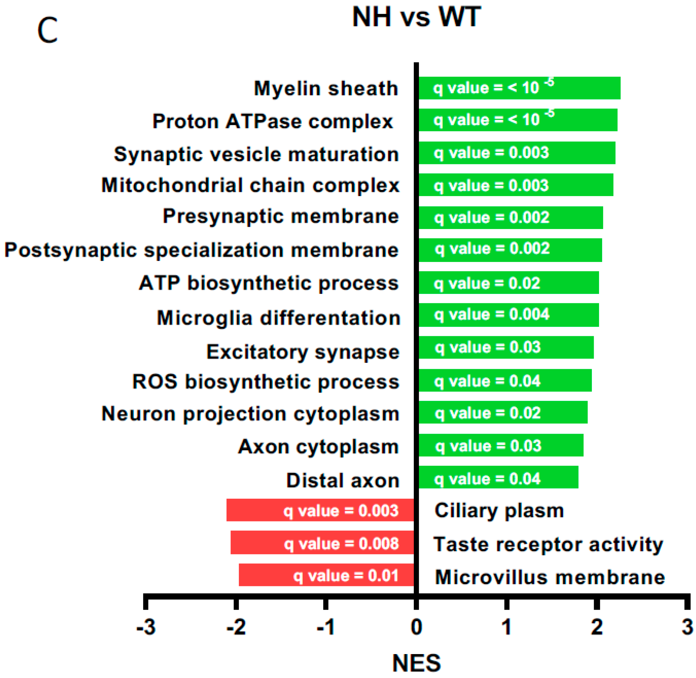 Ijms 26 10290 g003b Ijms 26 10290 g003b