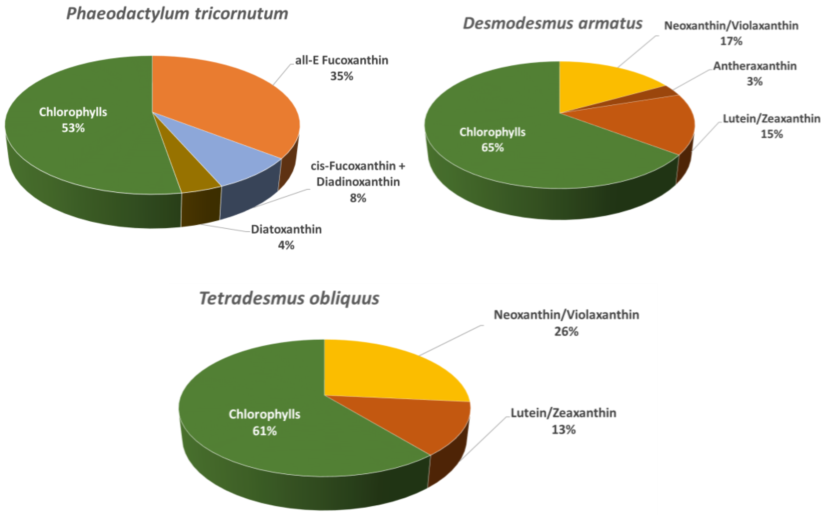 Ijms 26 10314 g001 Ijms 26 10314 g001